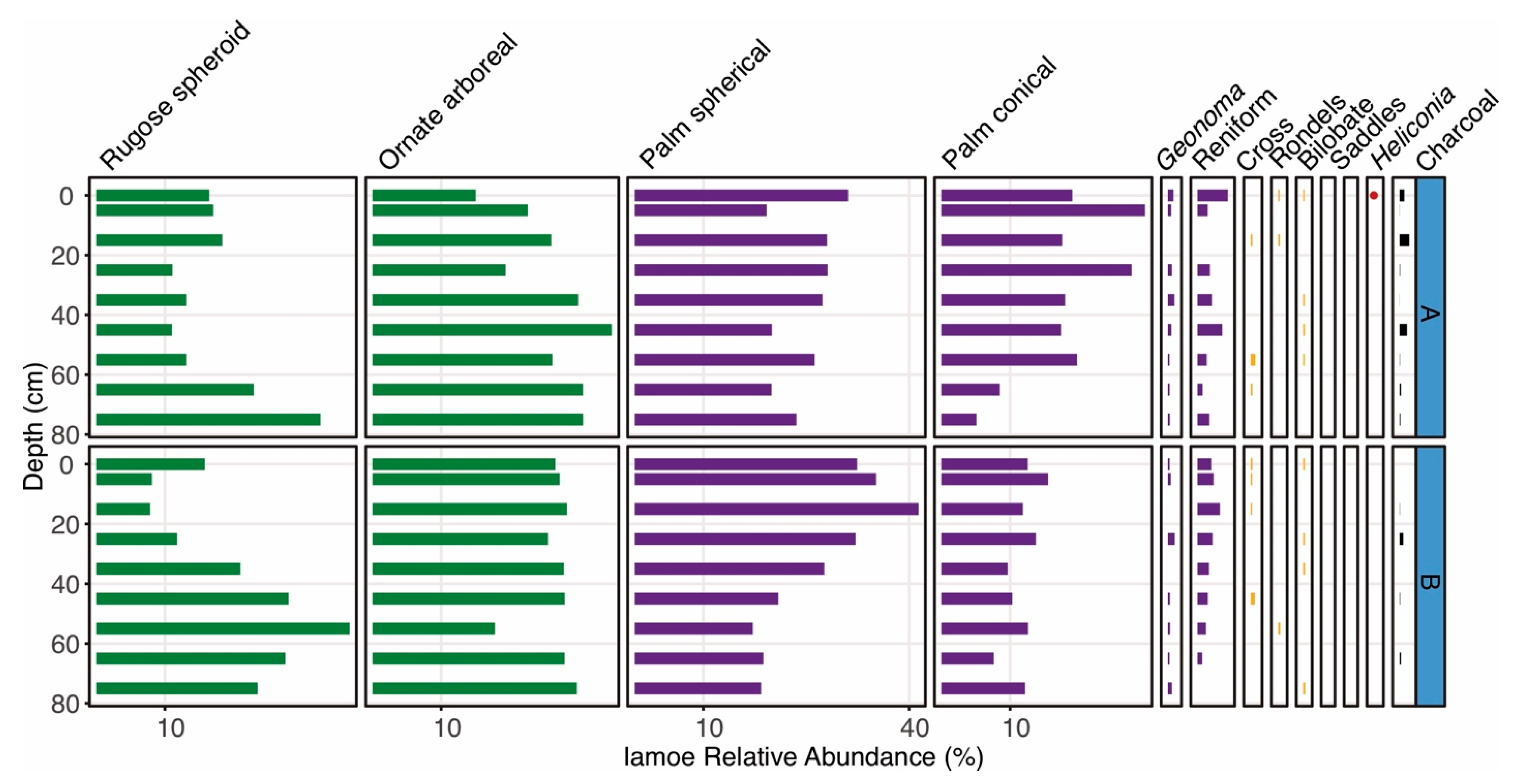 Plants 13 02048 g005