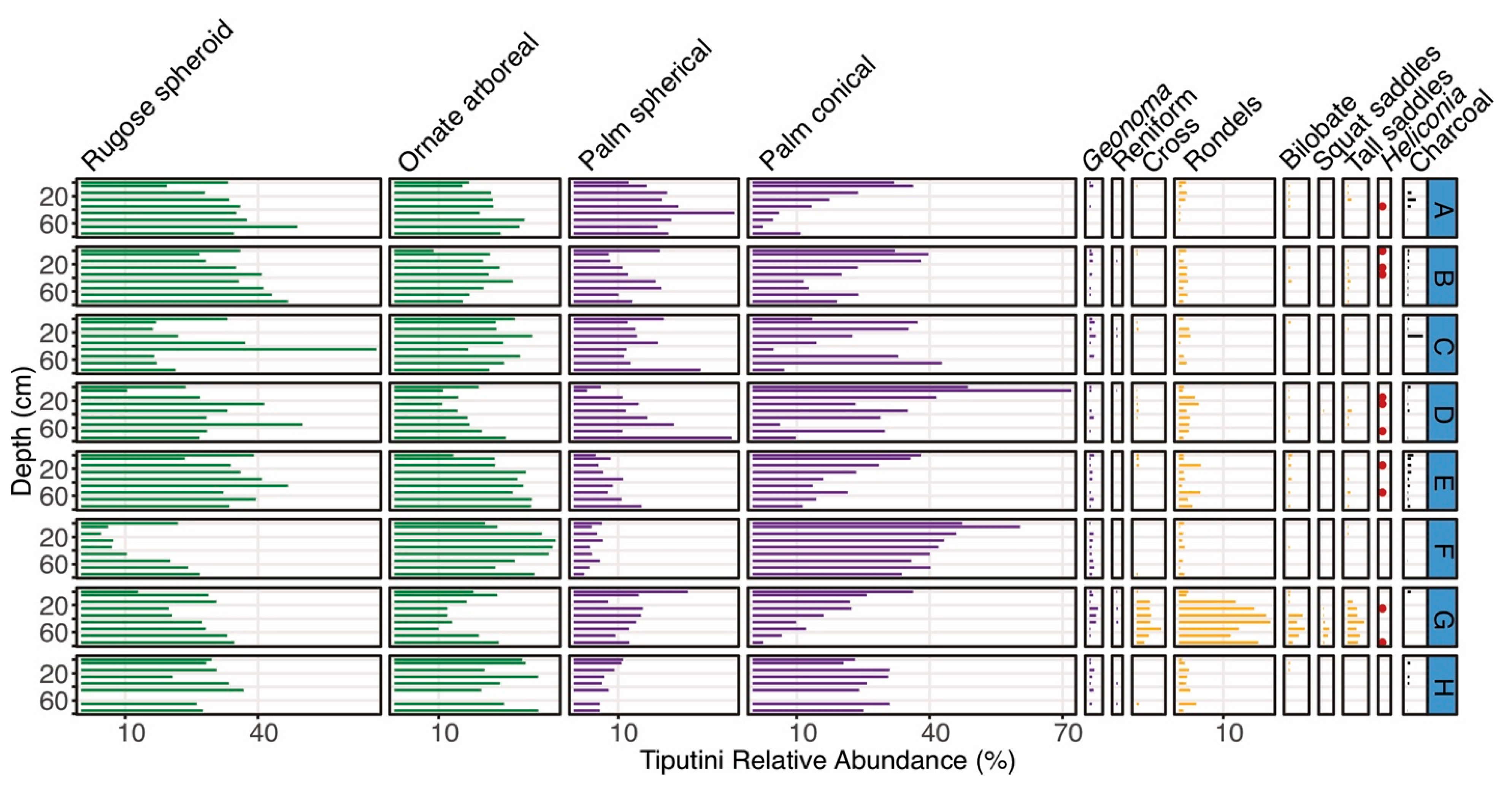 Plants 13 02048 g006