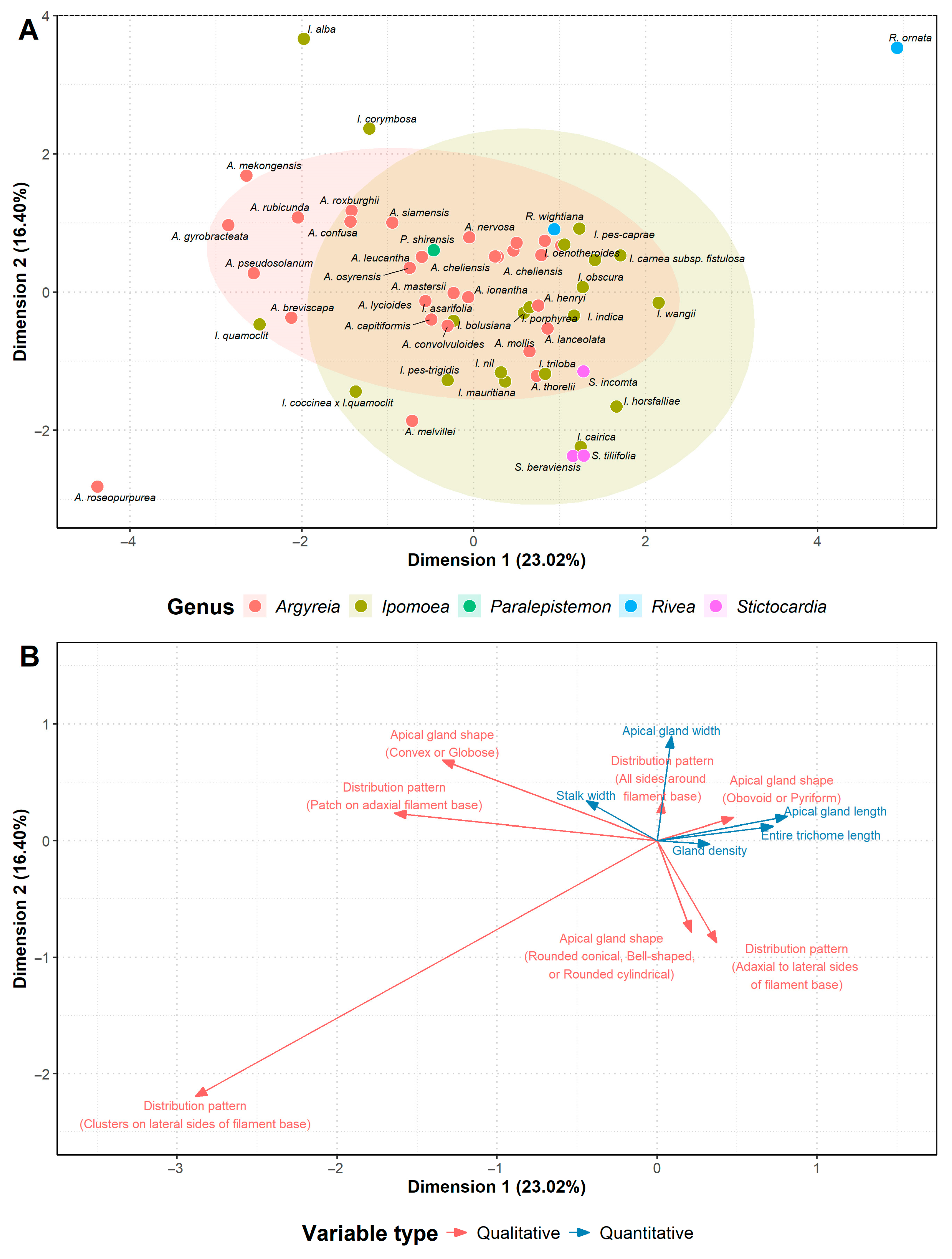 Plants 13 02050 g006