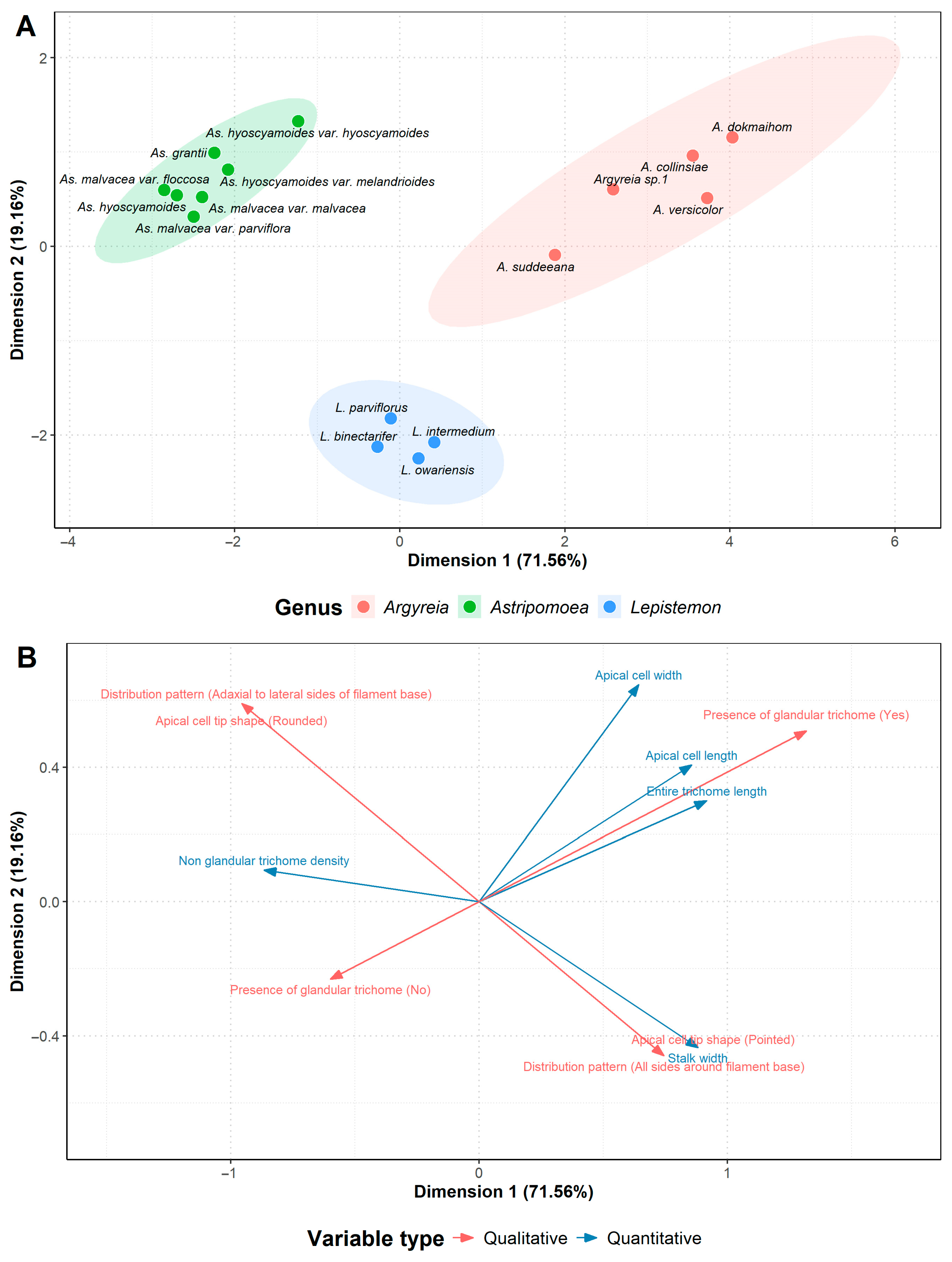 Plants 13 02050 g007