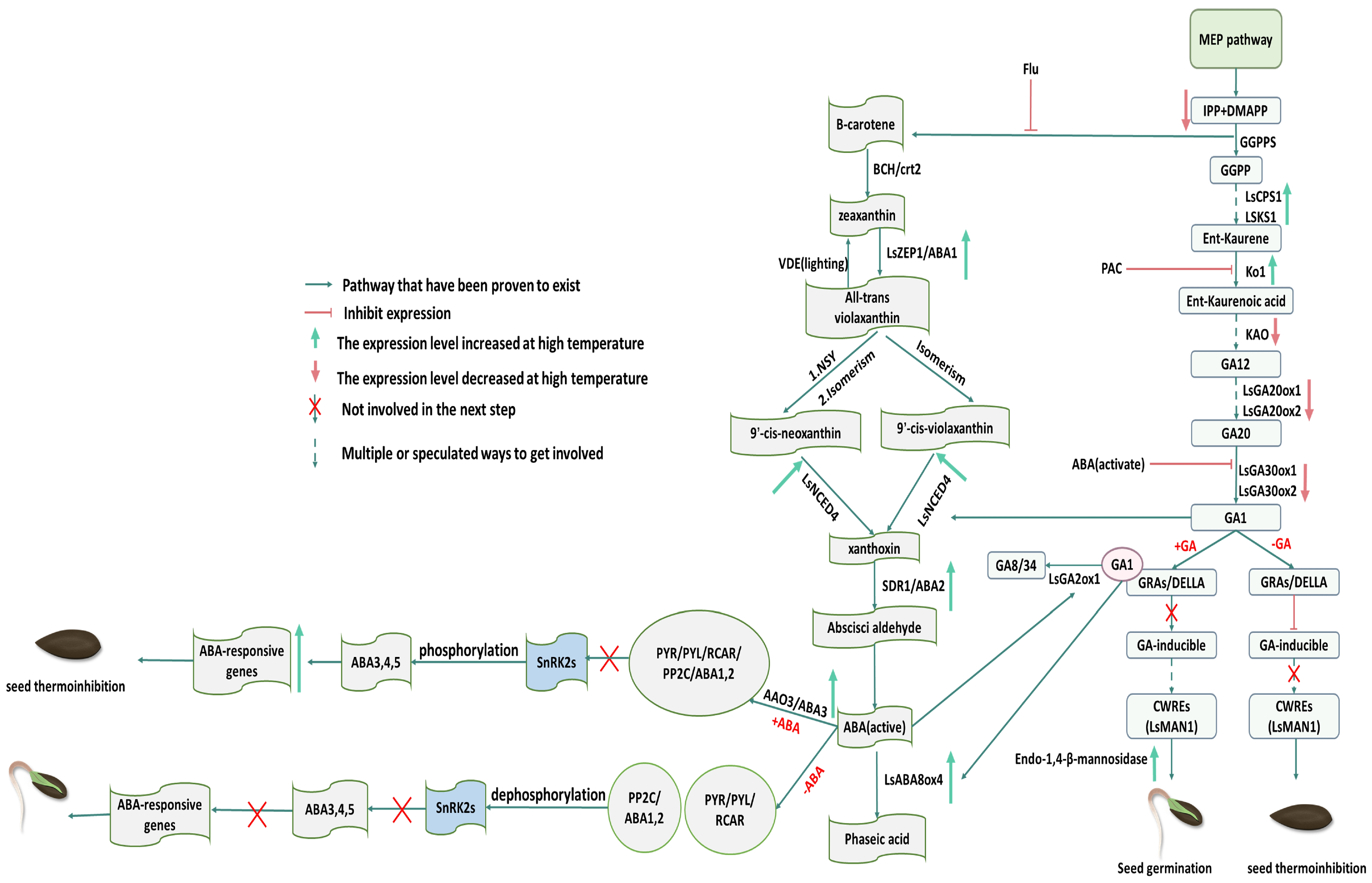 Plants 13 02051 g002