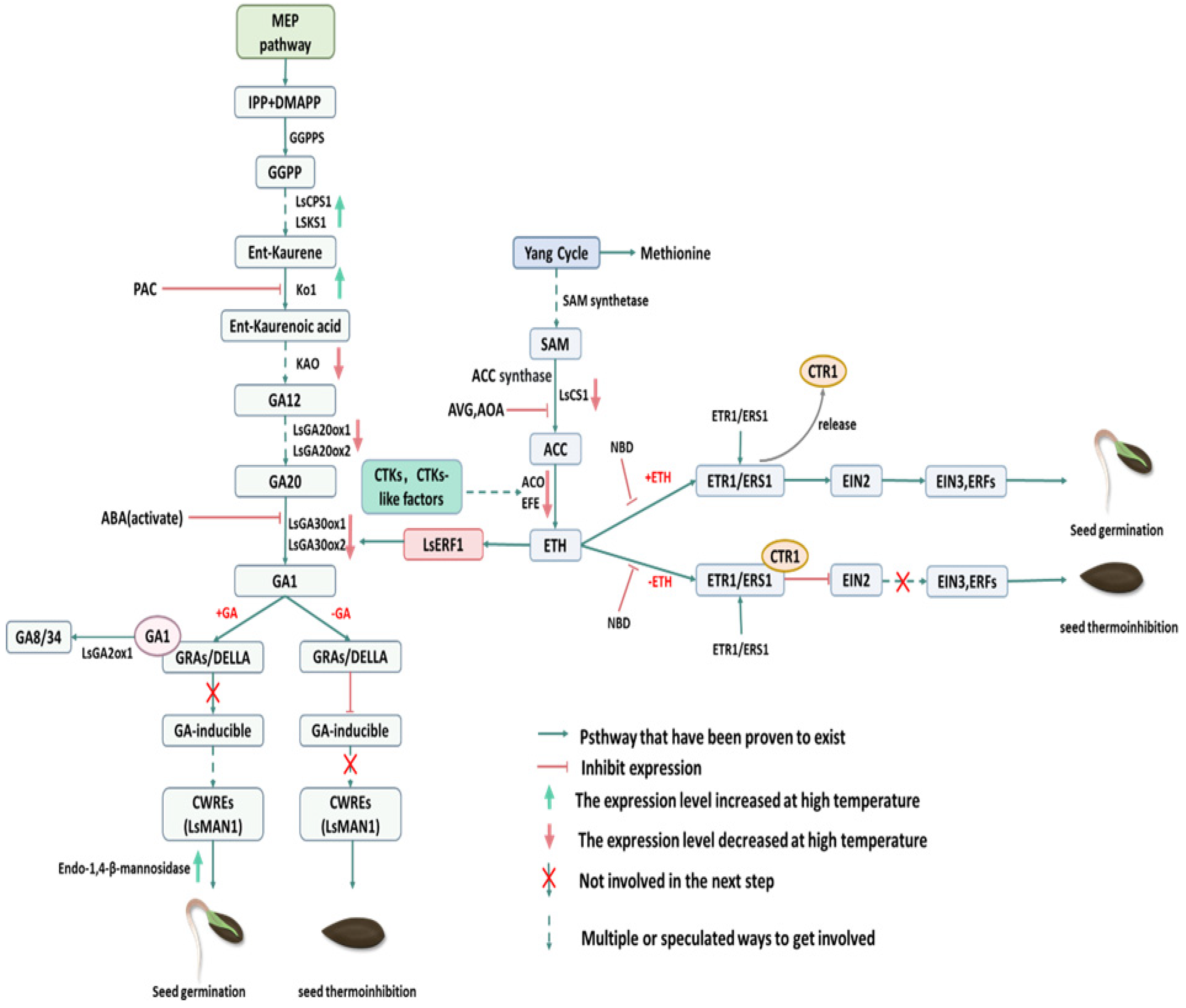 Plants 13 02051 g003