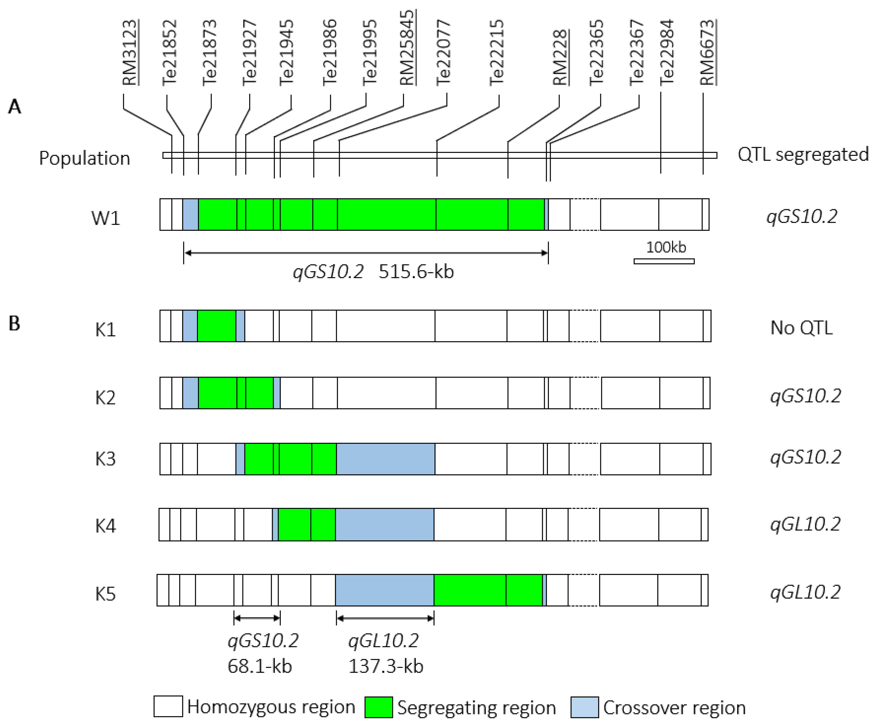 Plants 13 02054 g003