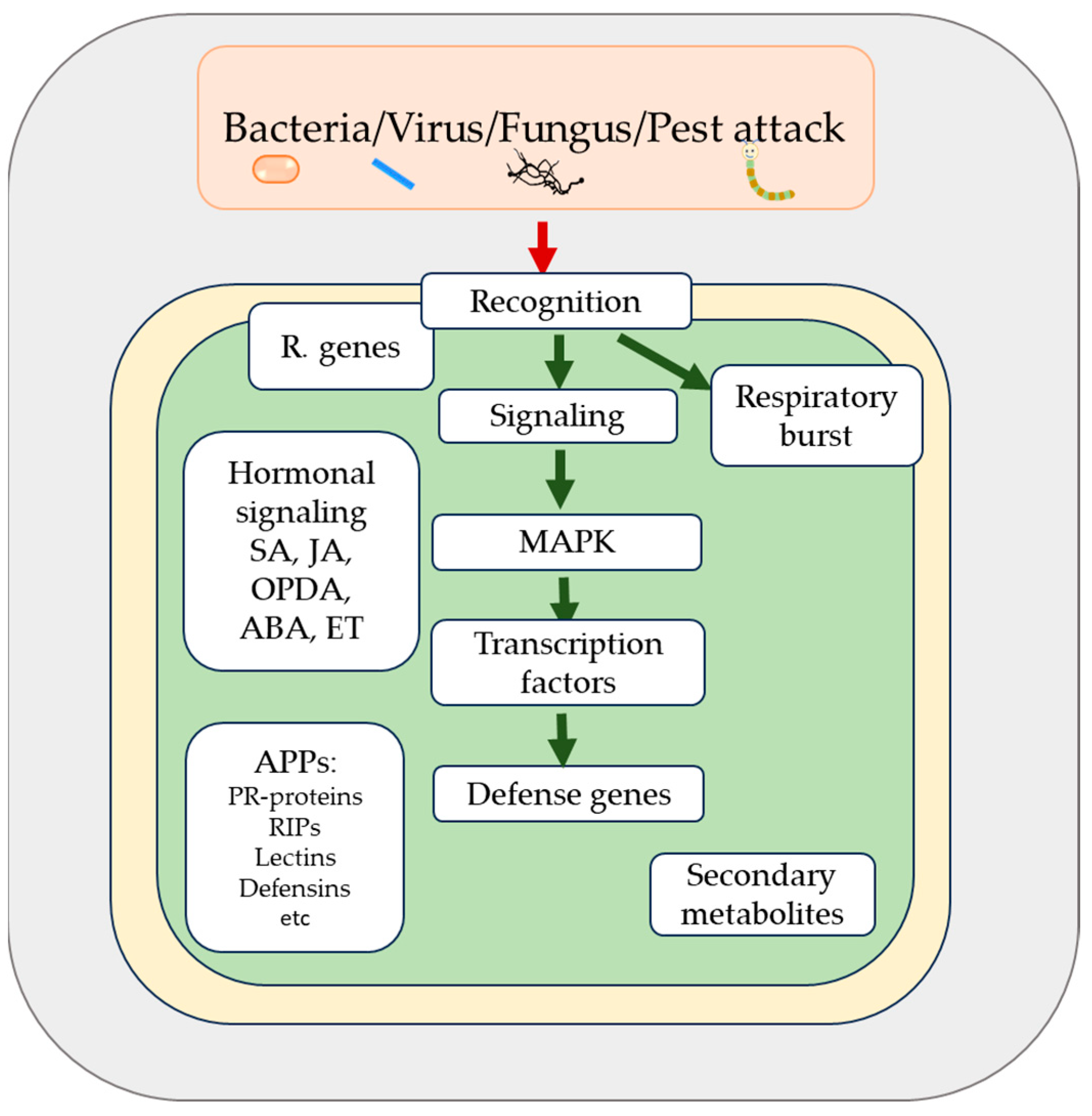 Plants 13 02059 g001 Plants 13 02059 g001