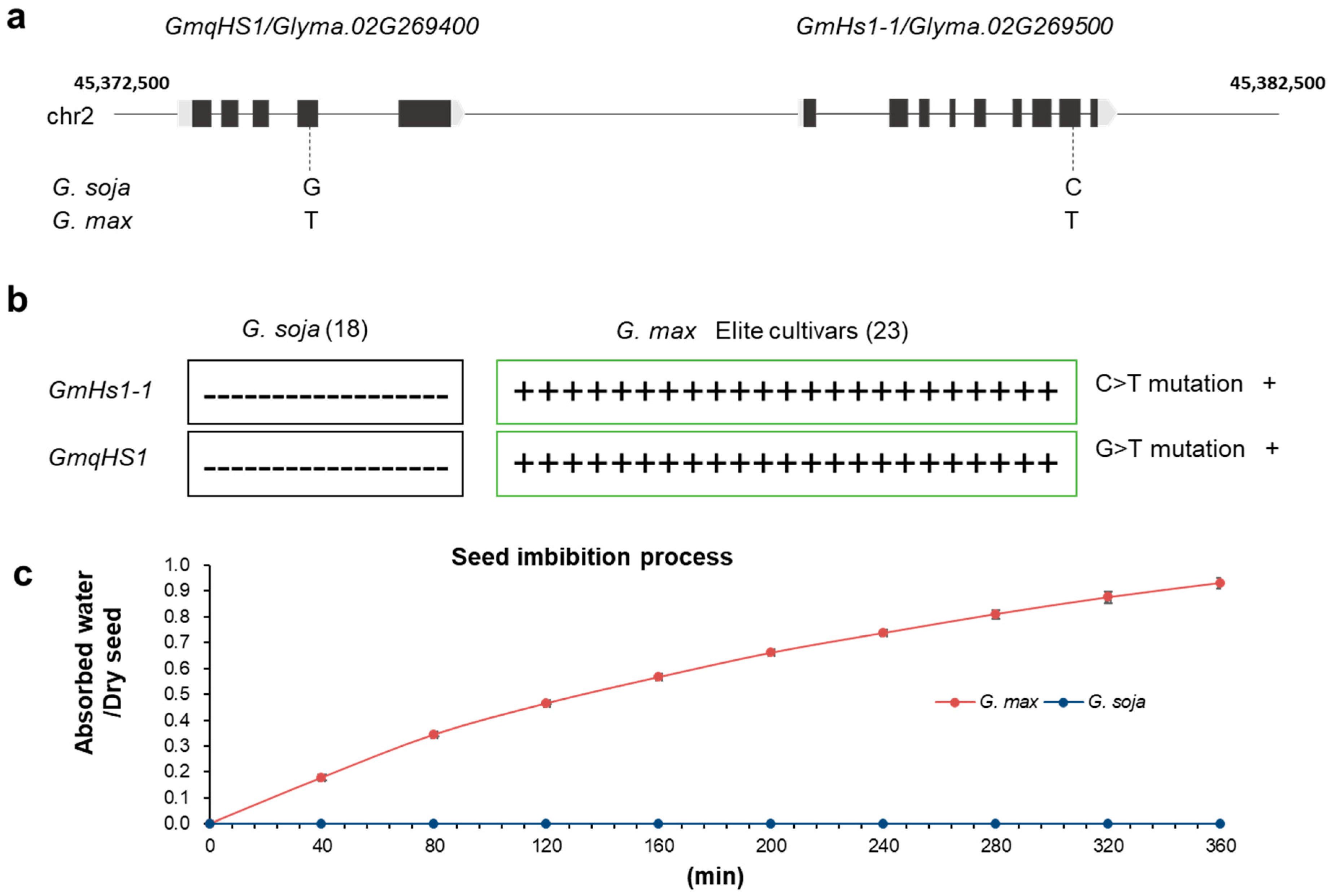 Plants 13 02061 g001 Plants 13 02061 g001