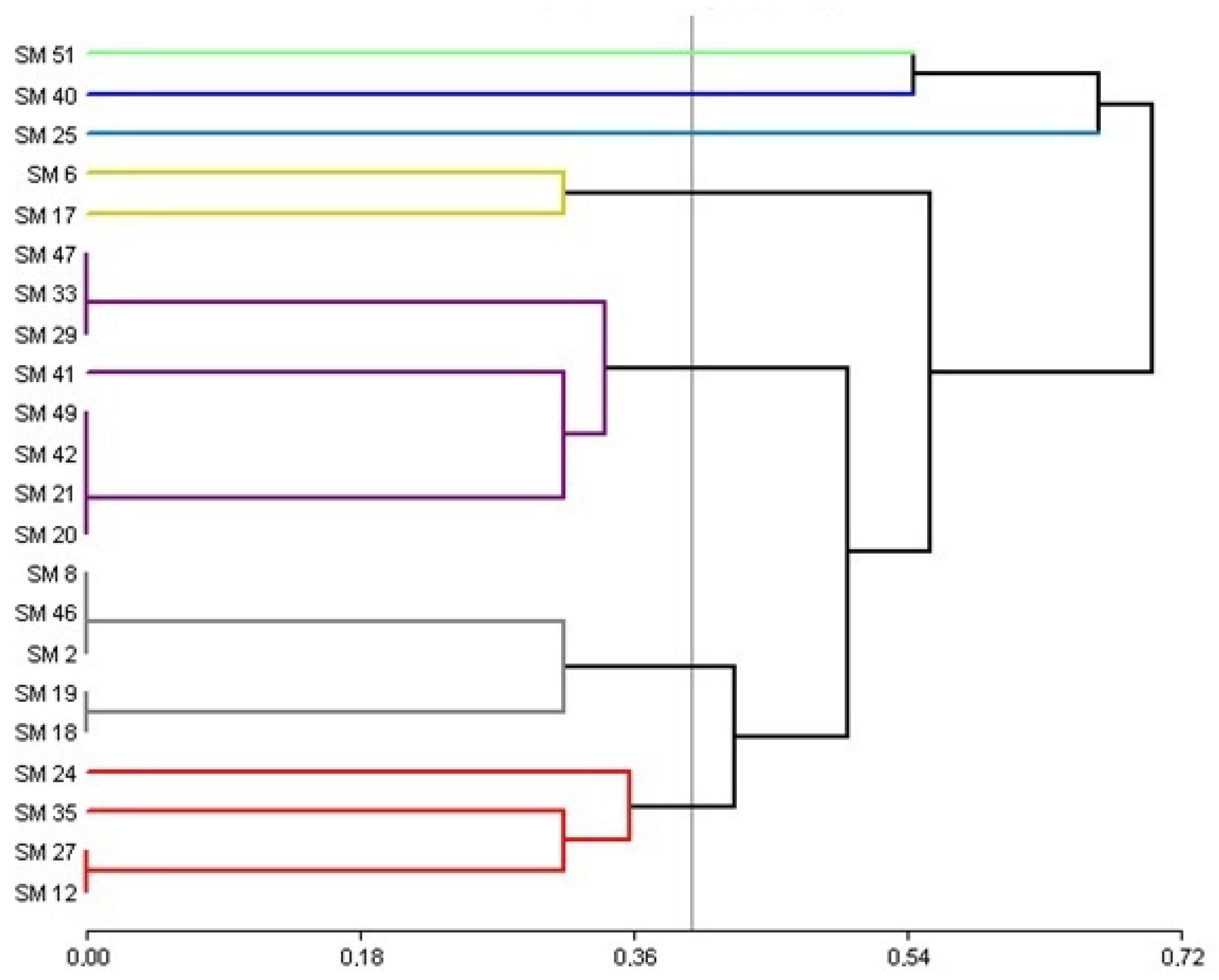 Plants 13 02062 g001