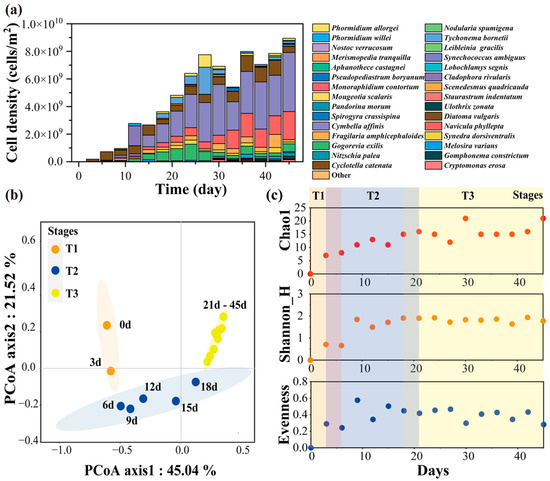 Competition in the Periphytic Algal Community during the