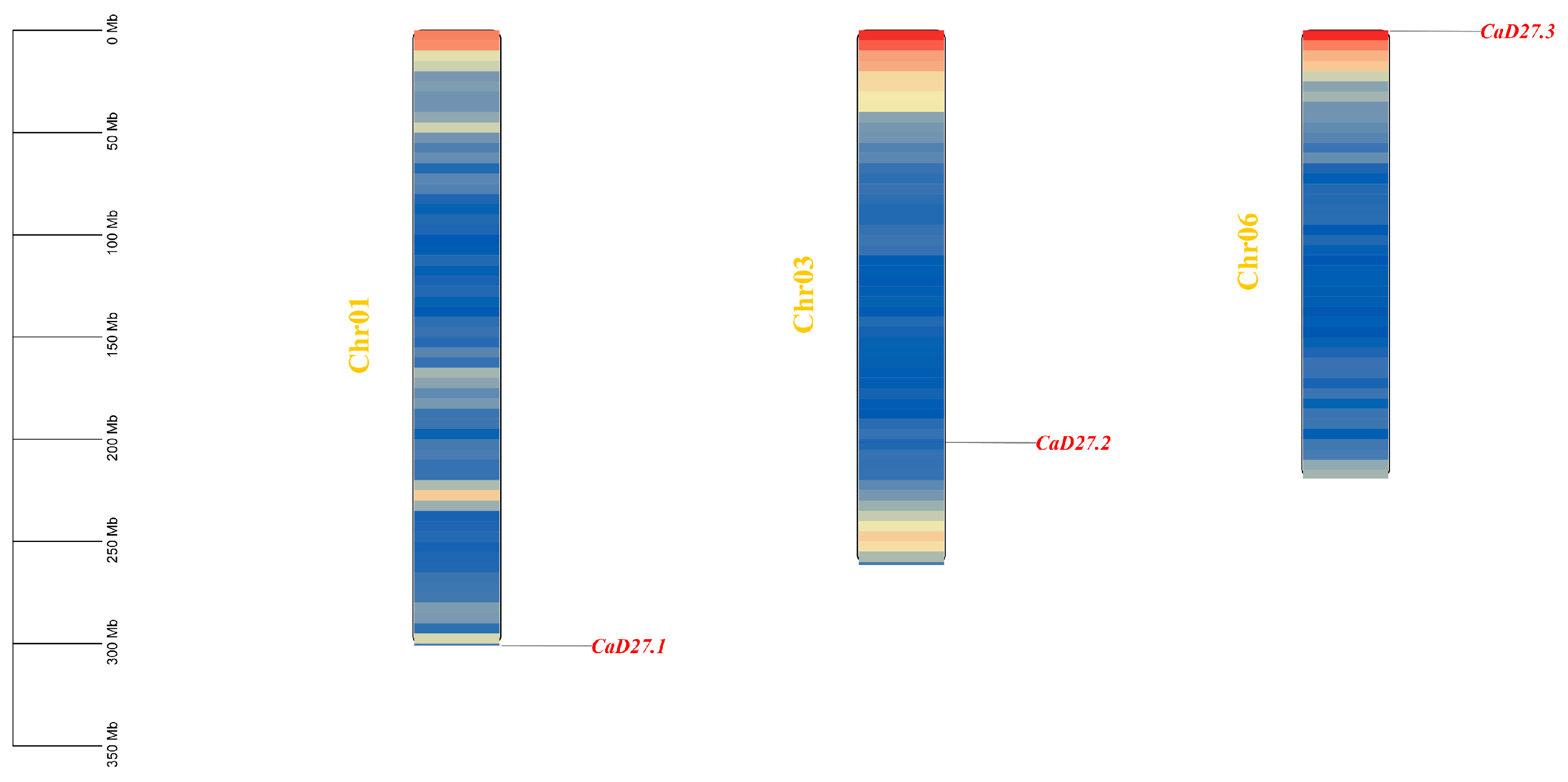 Plants 13 02070 g001