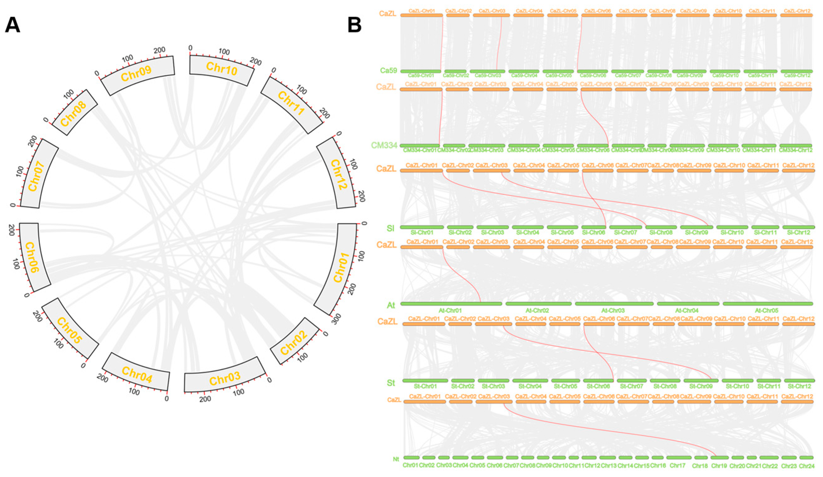 Plants 13 02070 g002