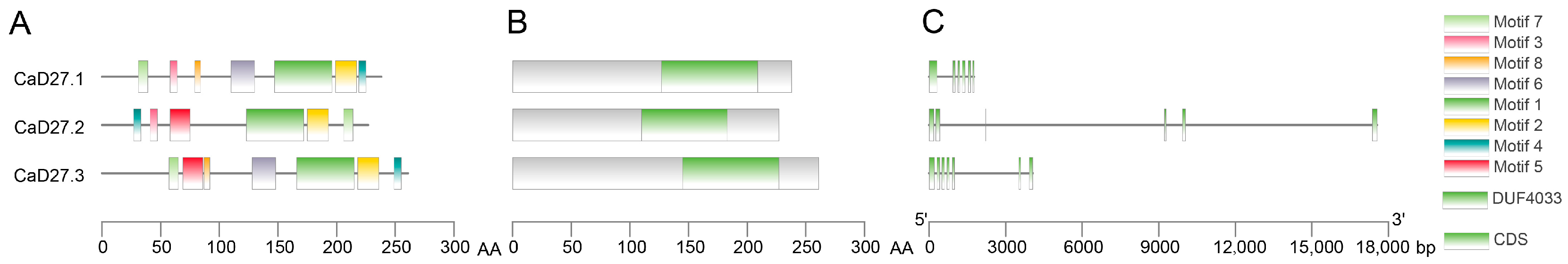 Plants 13 02070 g005