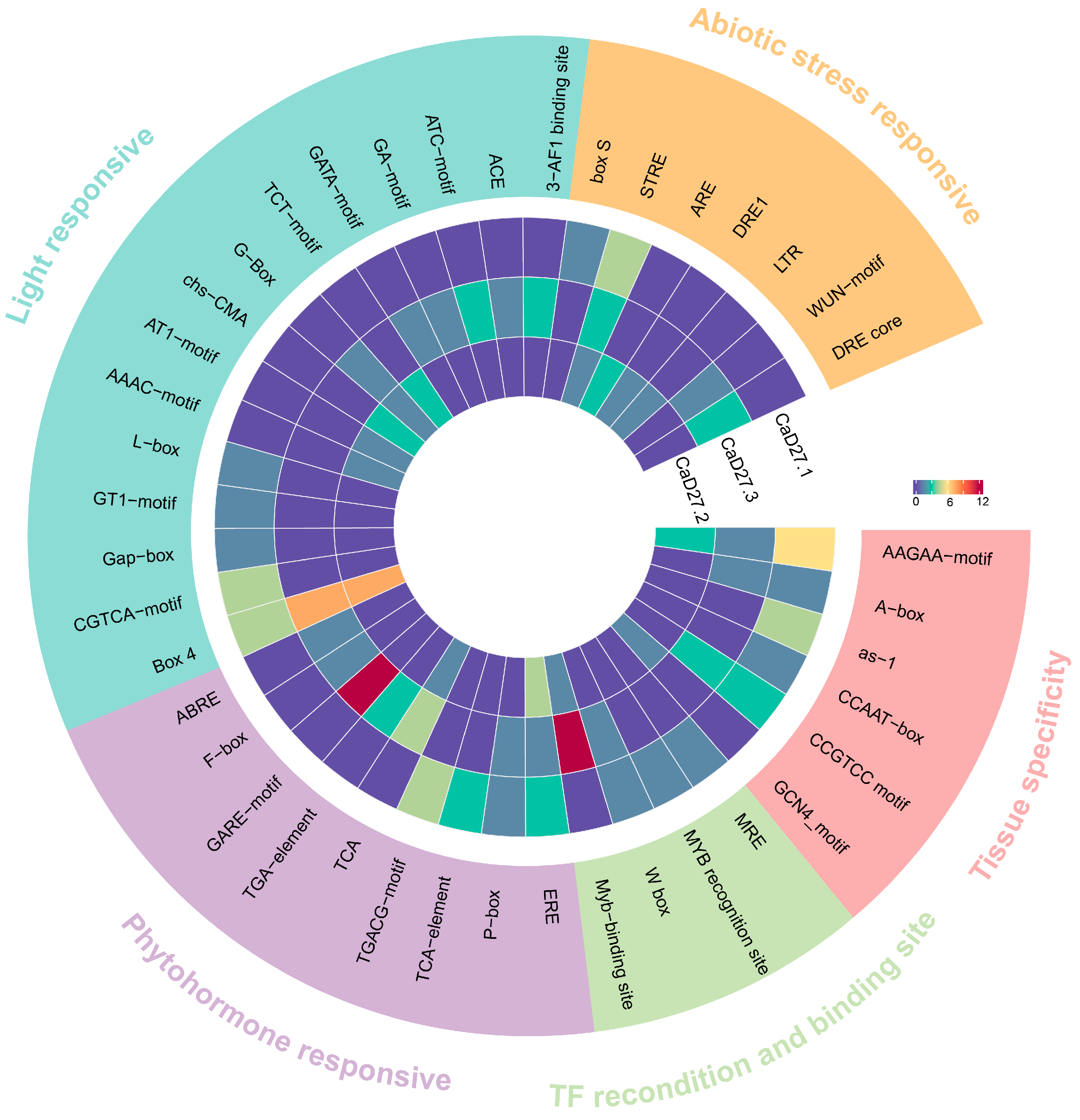 Plants 13 02070 g006
