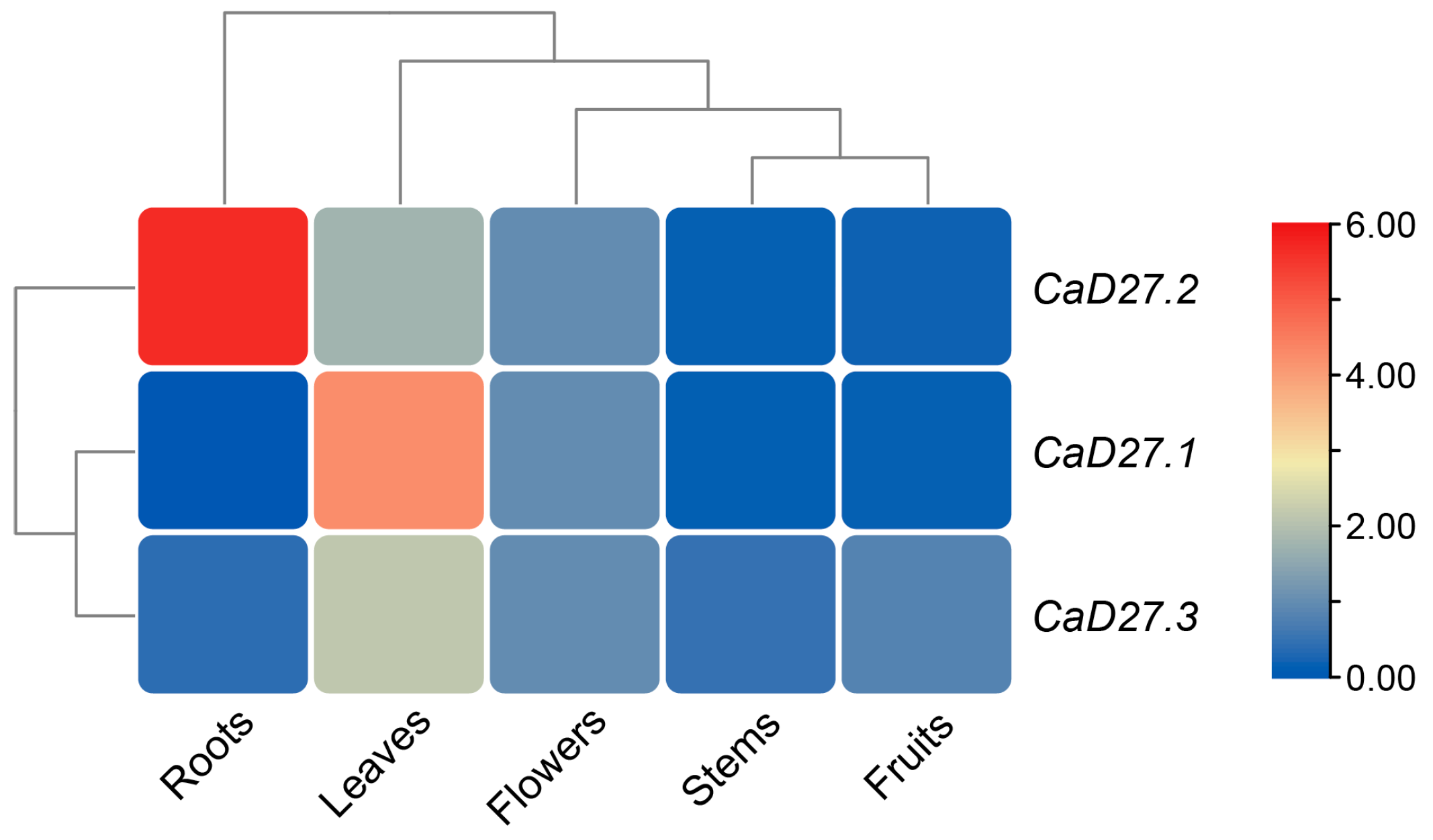 Plants 13 02070 g007