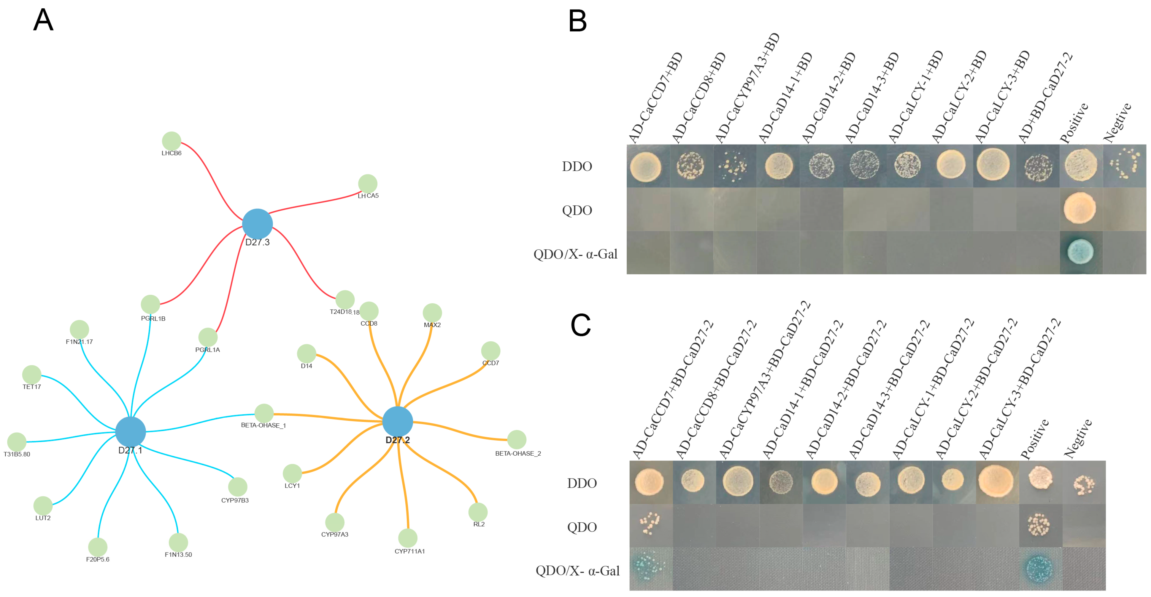 Plants 13 02070 g008