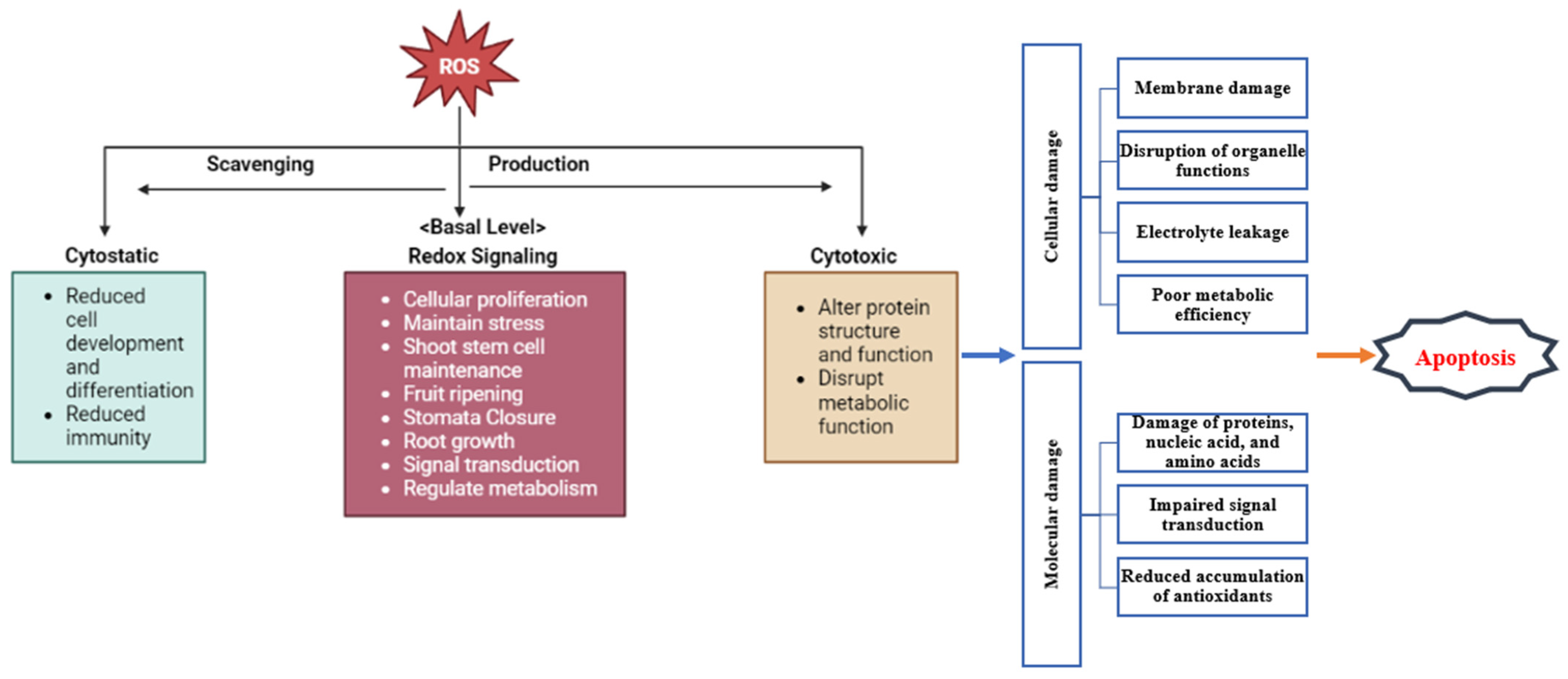 Plants 13 02071 g008 Plants 13 02071 g008