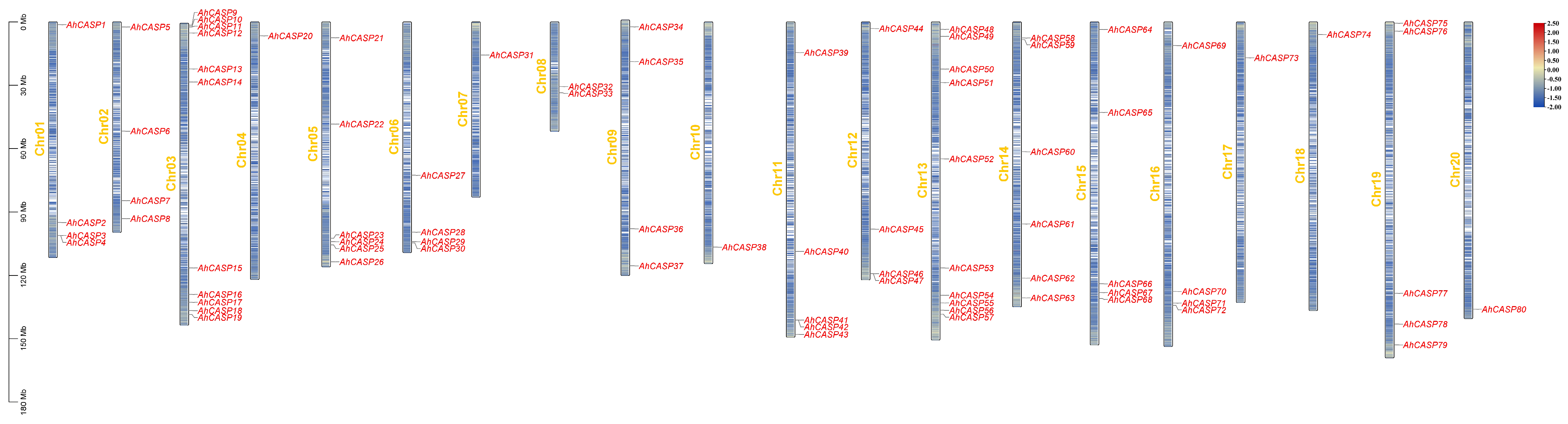 Plants 13 02077 g001