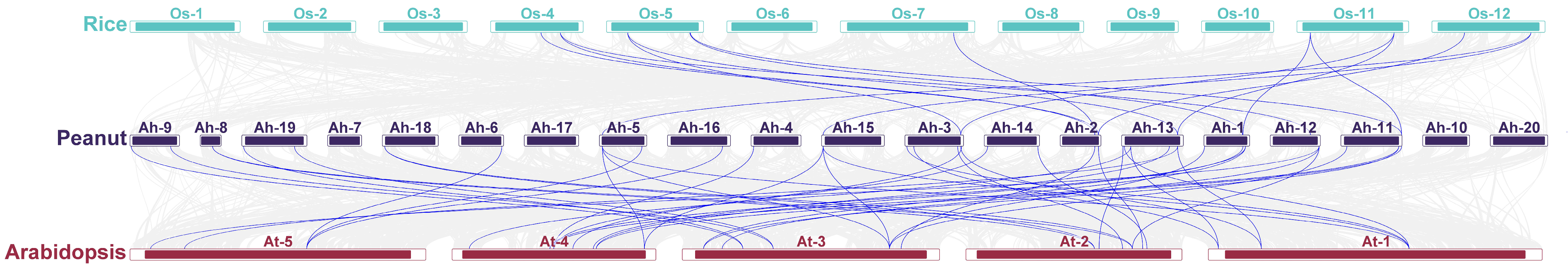 Plants 13 02077 g002