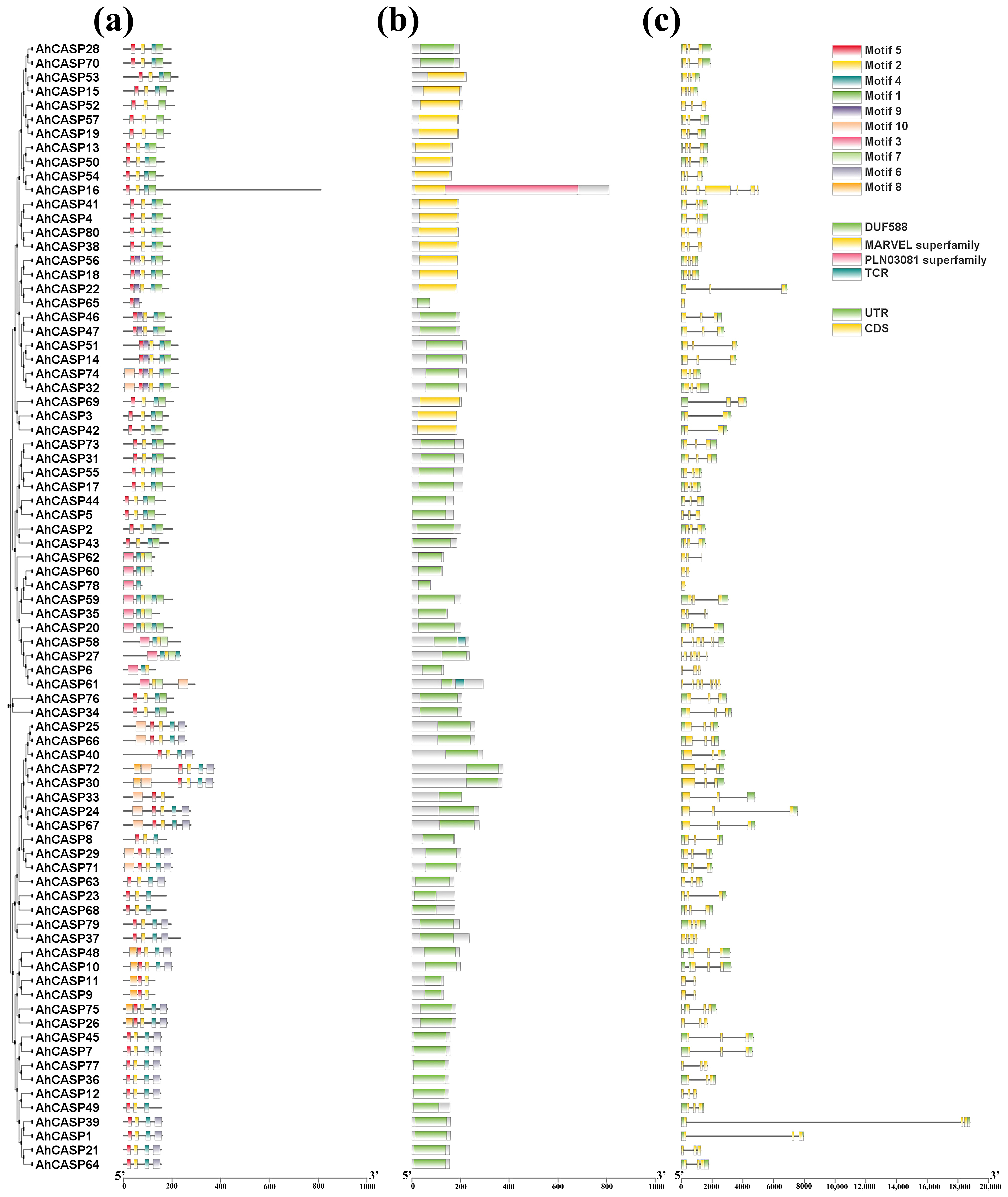 Plants 13 02077 g003