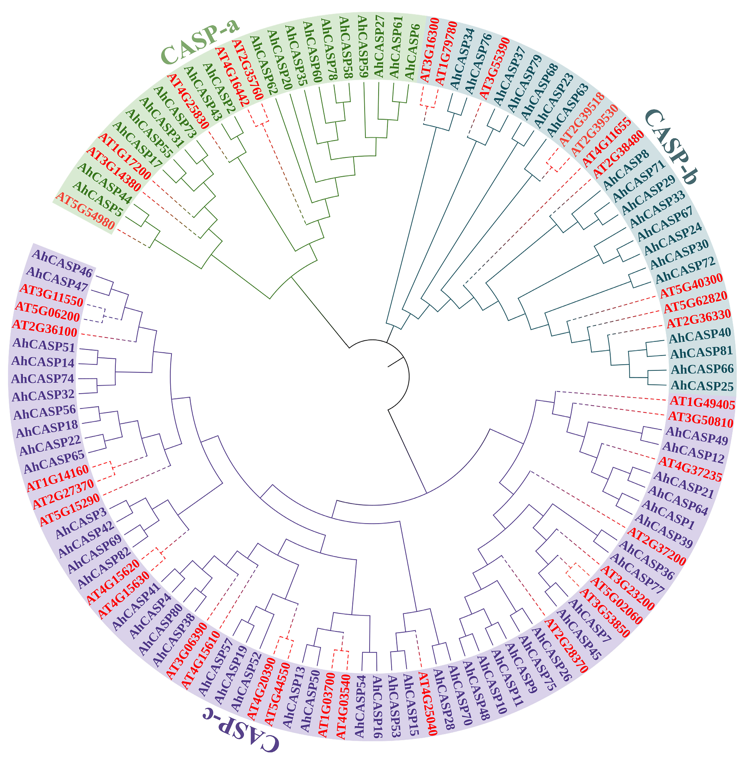 Plants 13 02077 g004