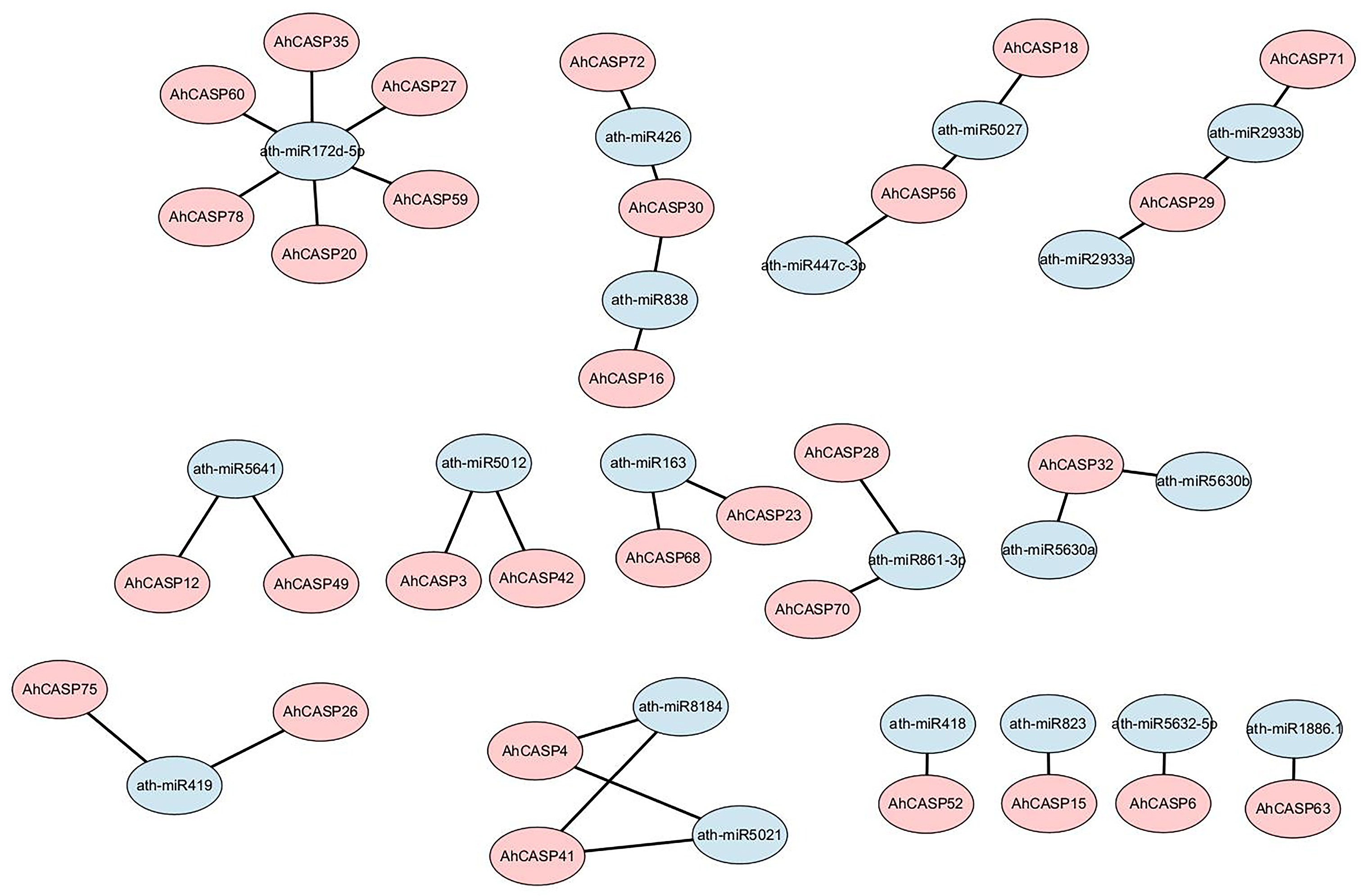 Plants 13 02077 g007