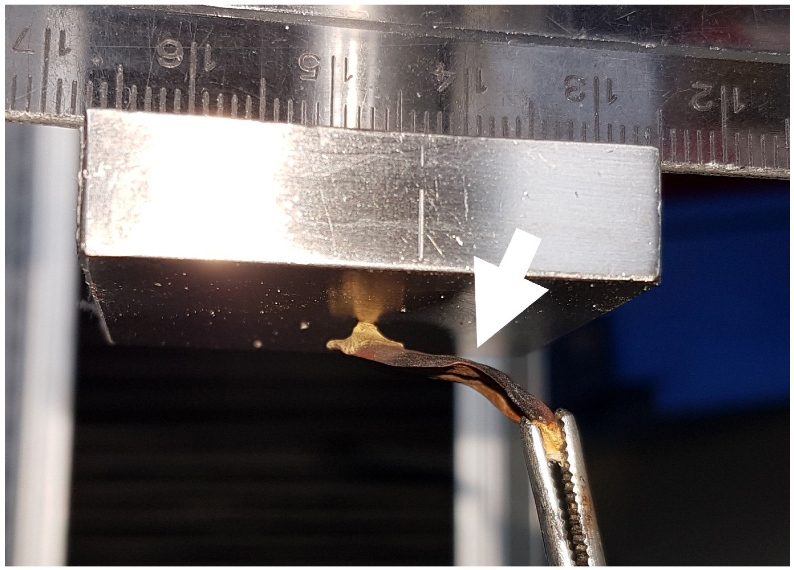 Plants 13 02078 g004