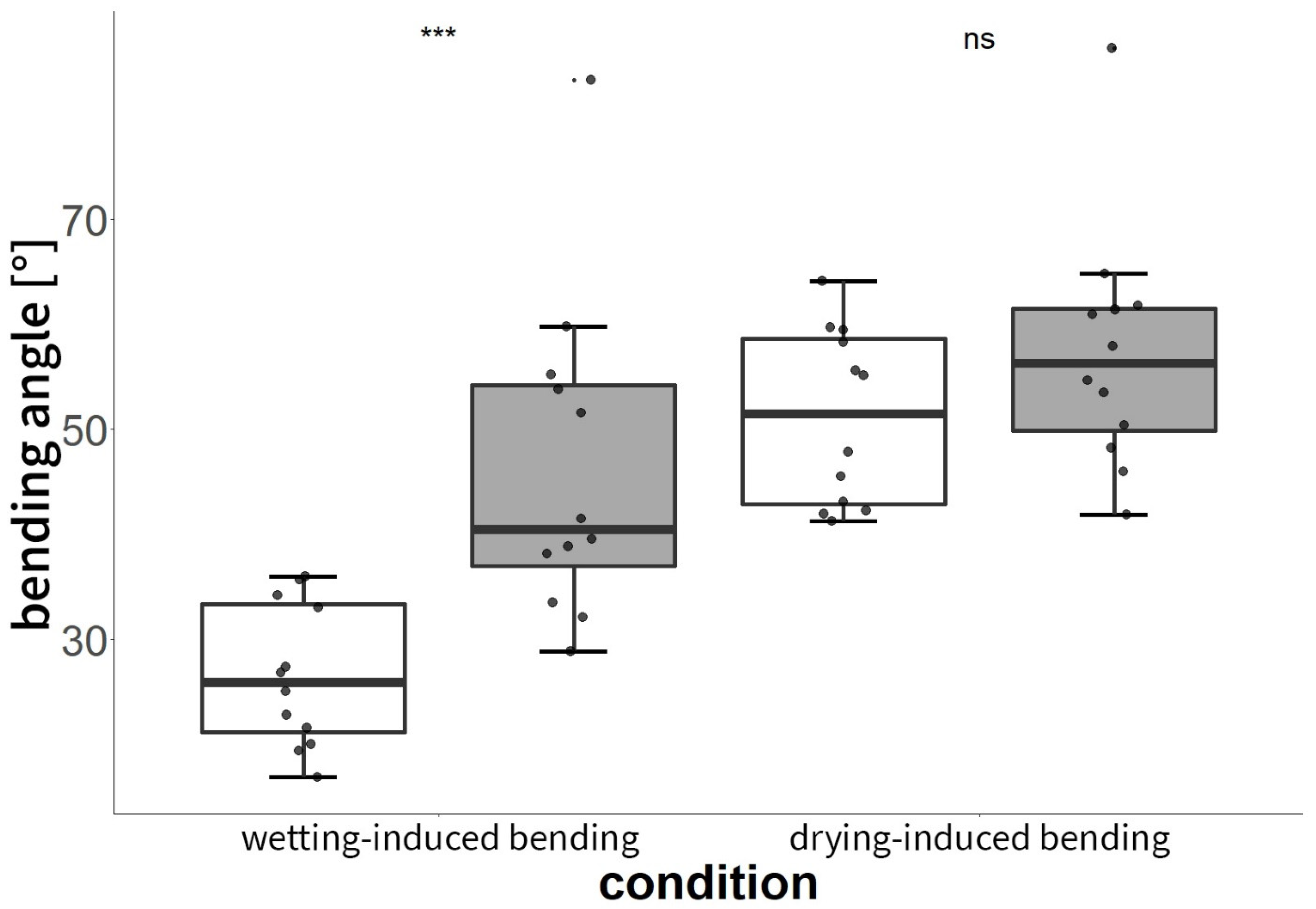 Plants 13 02078 g008
