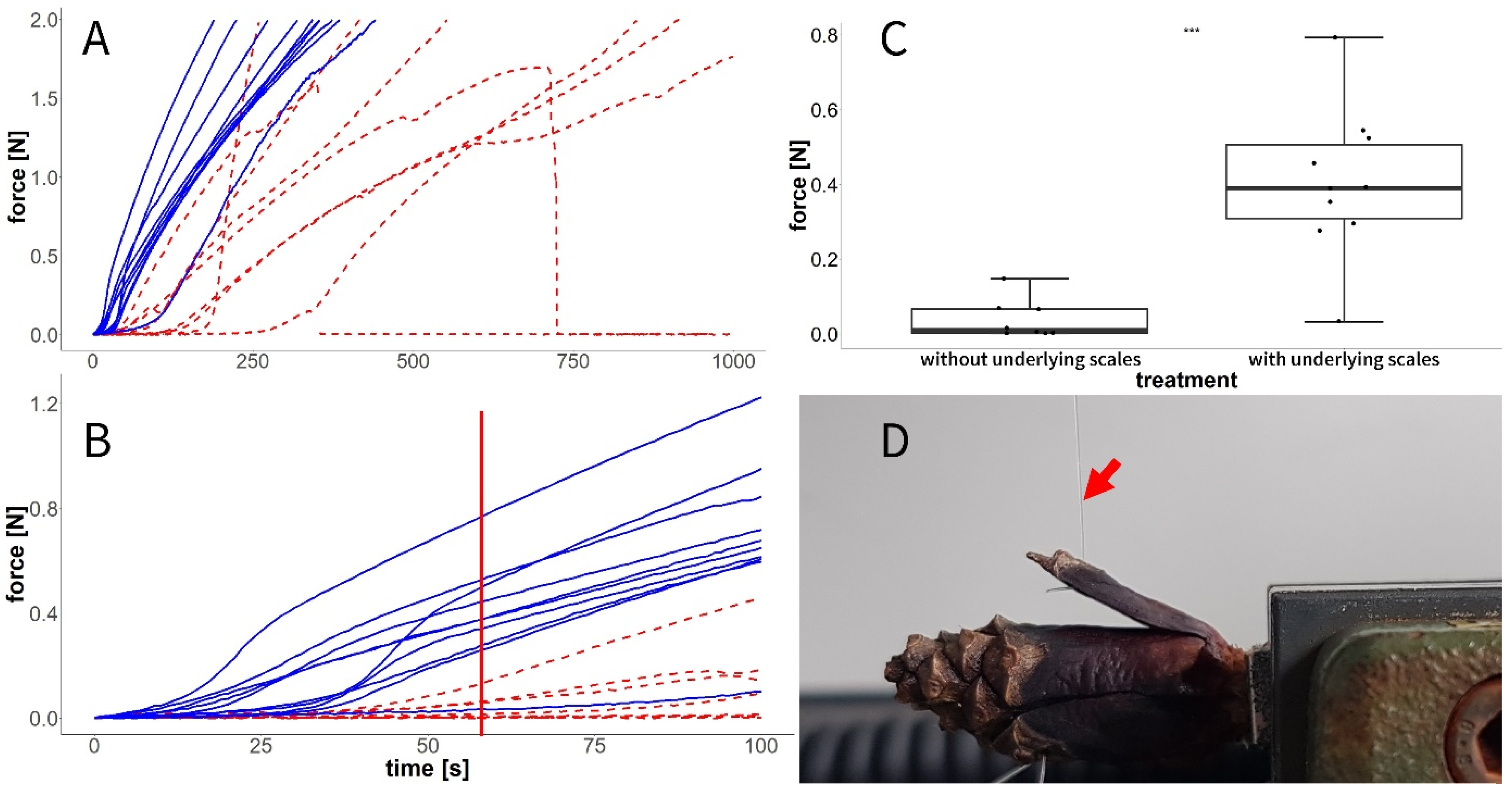 Plants 13 02078 g011