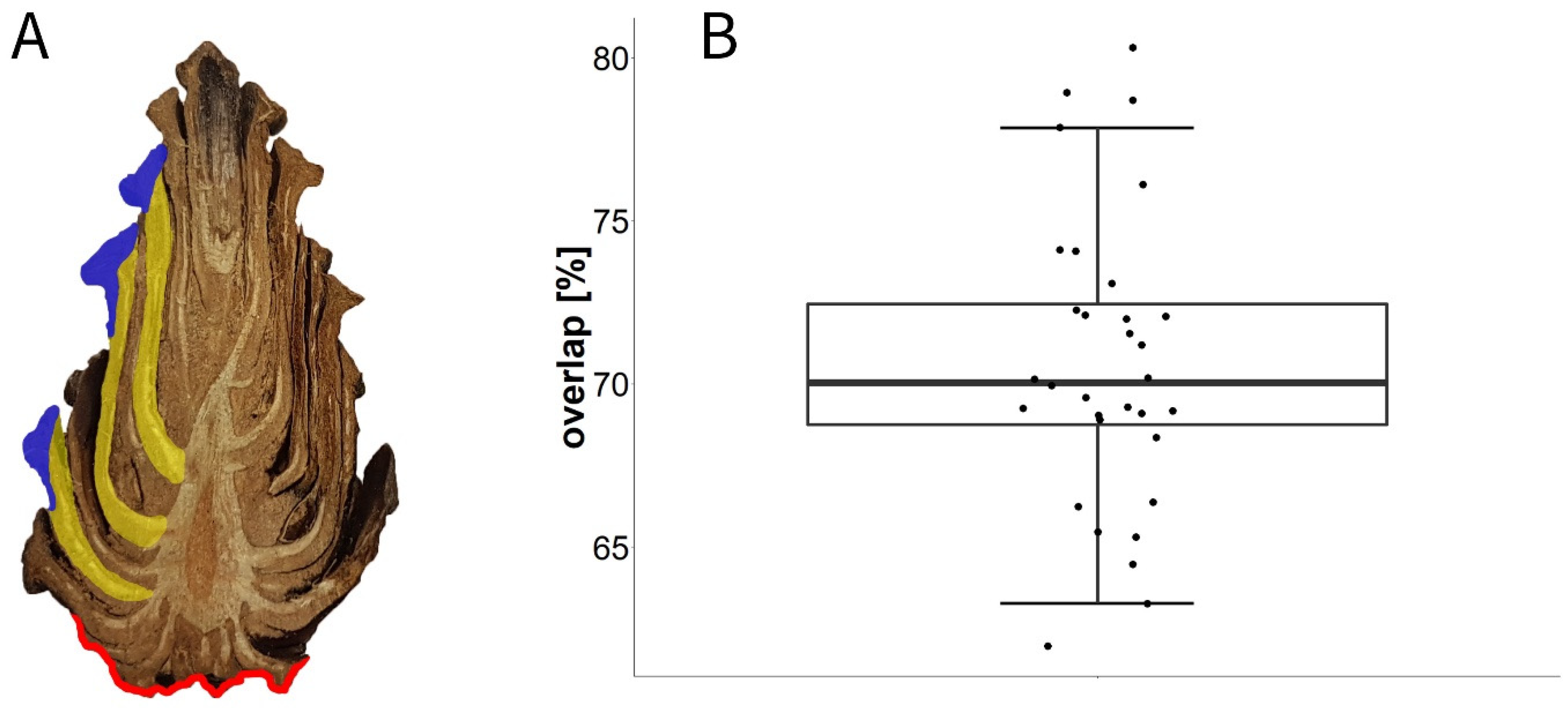 Plants 13 02078 g012