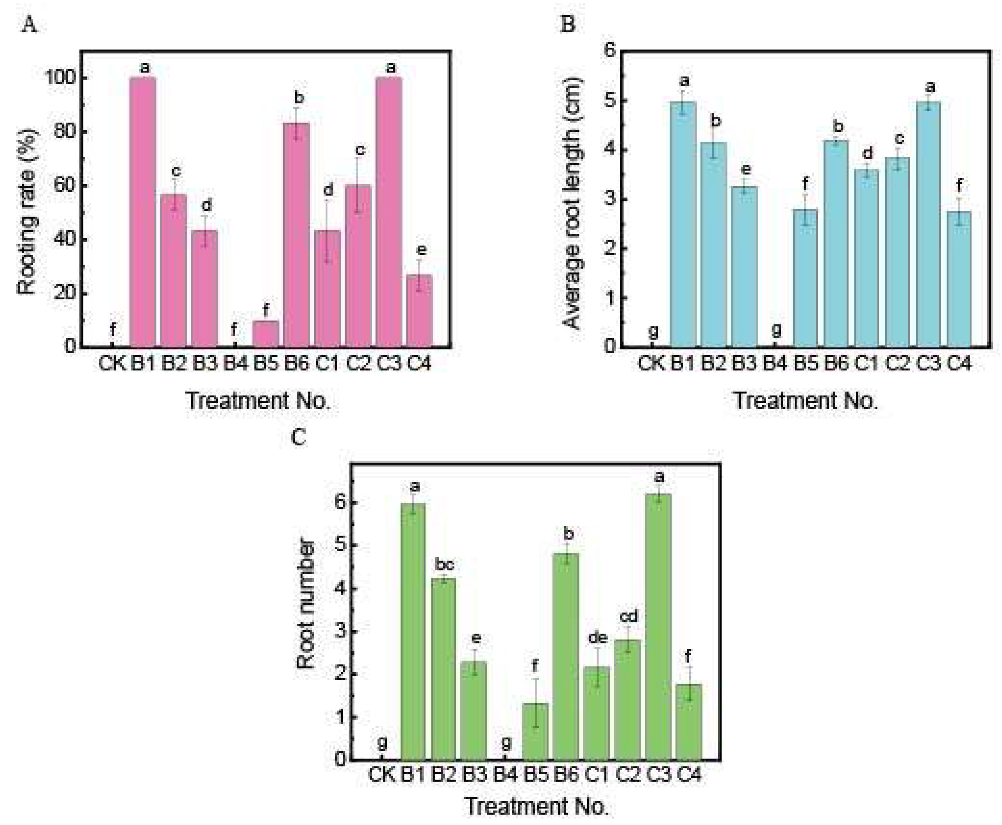 Plants 13 02080 g004