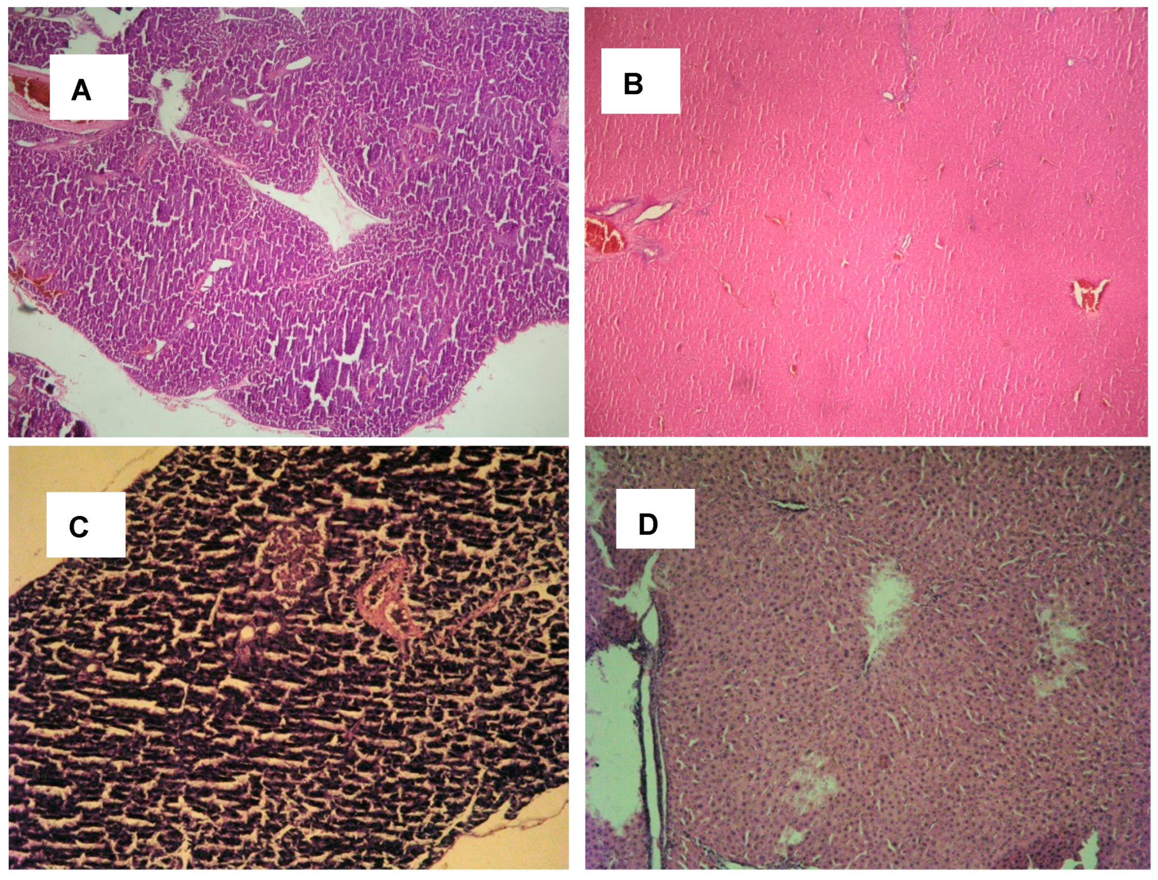 Plants 13 02086 g005a