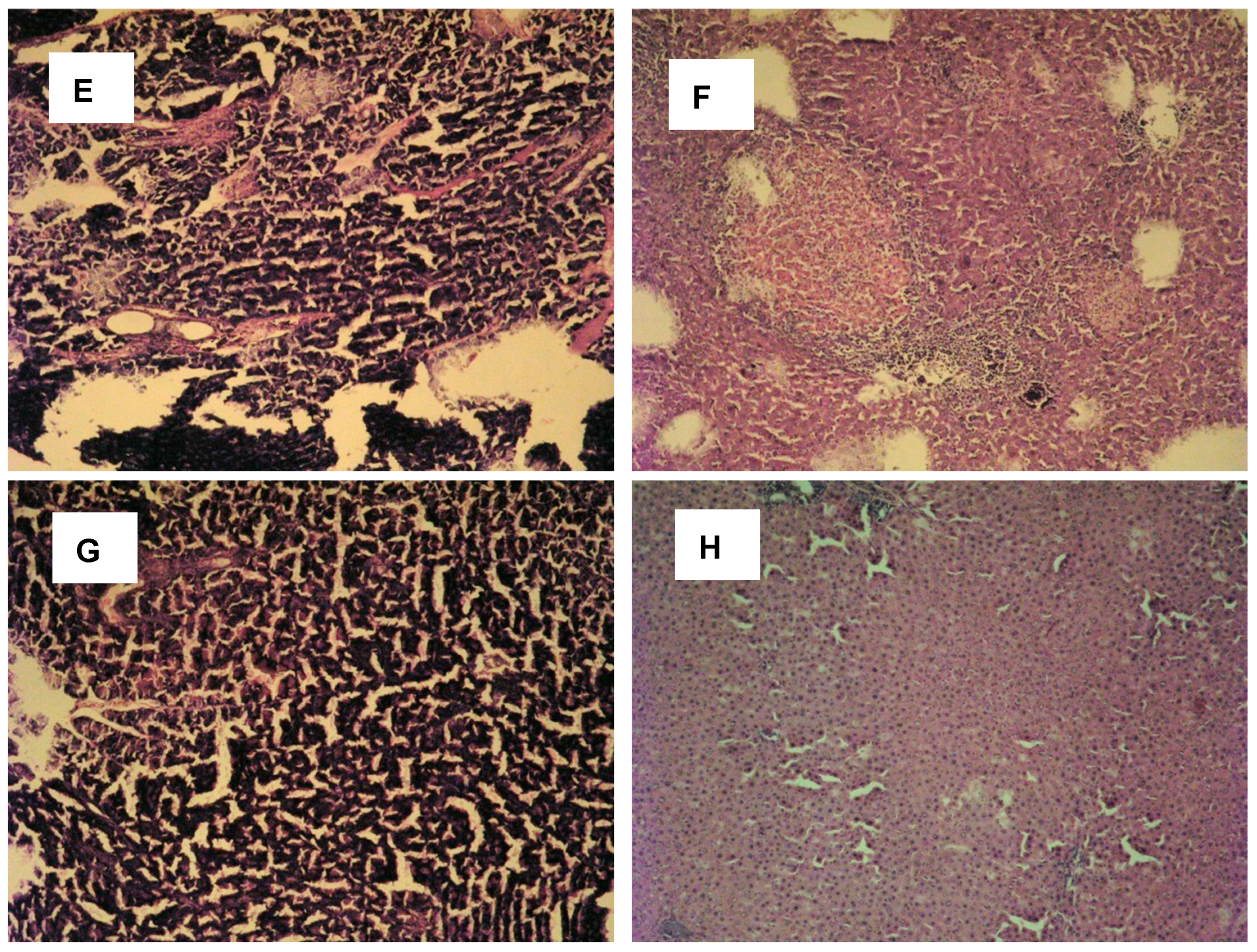 Plants 13 02086 g005b