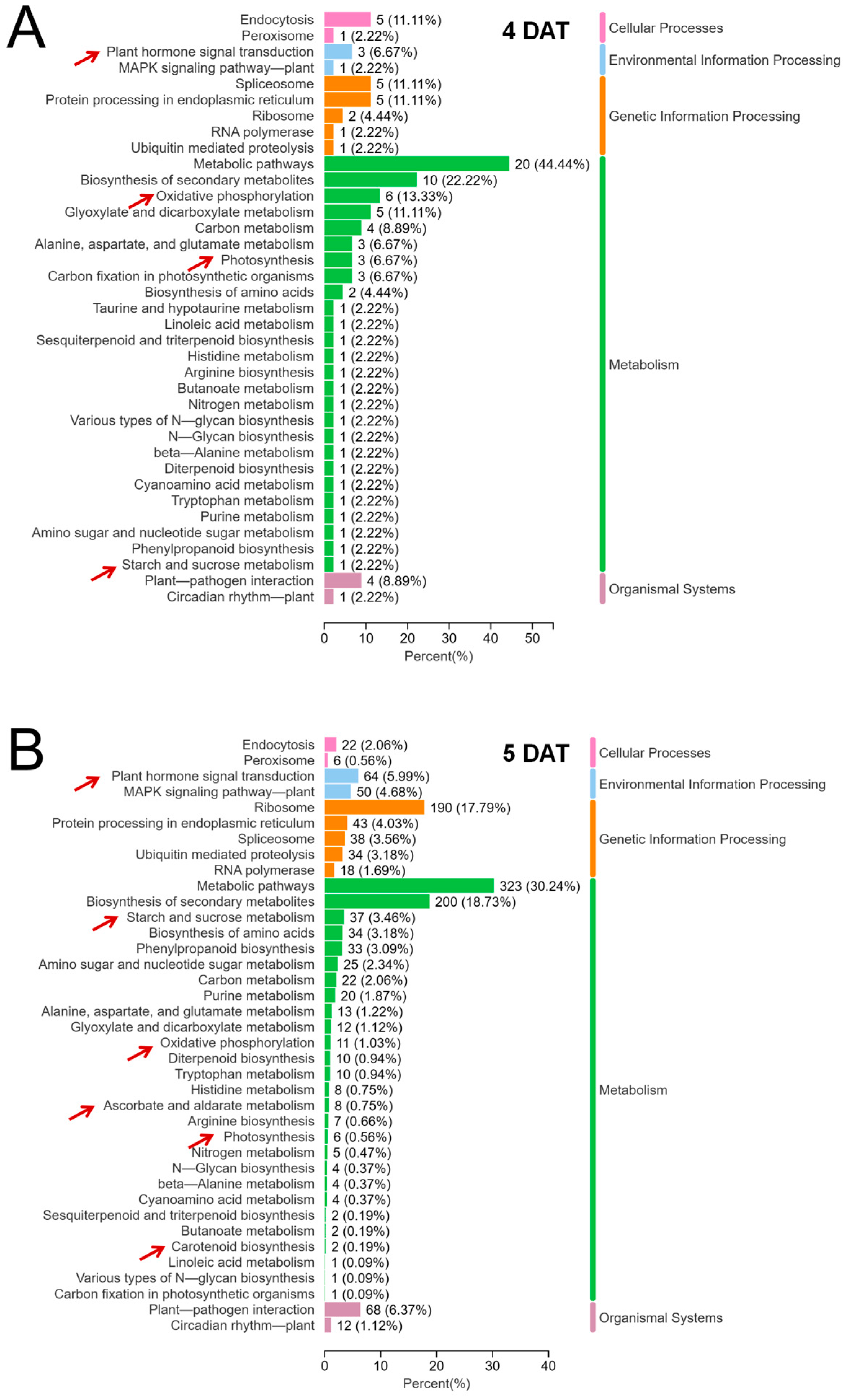 Plants 13 02090 g004 Plants 13 02090 g004