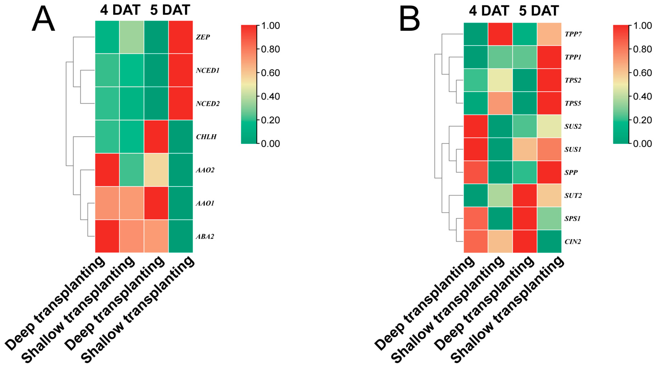 Plants 13 02090 g005 Plants 13 02090 g005
