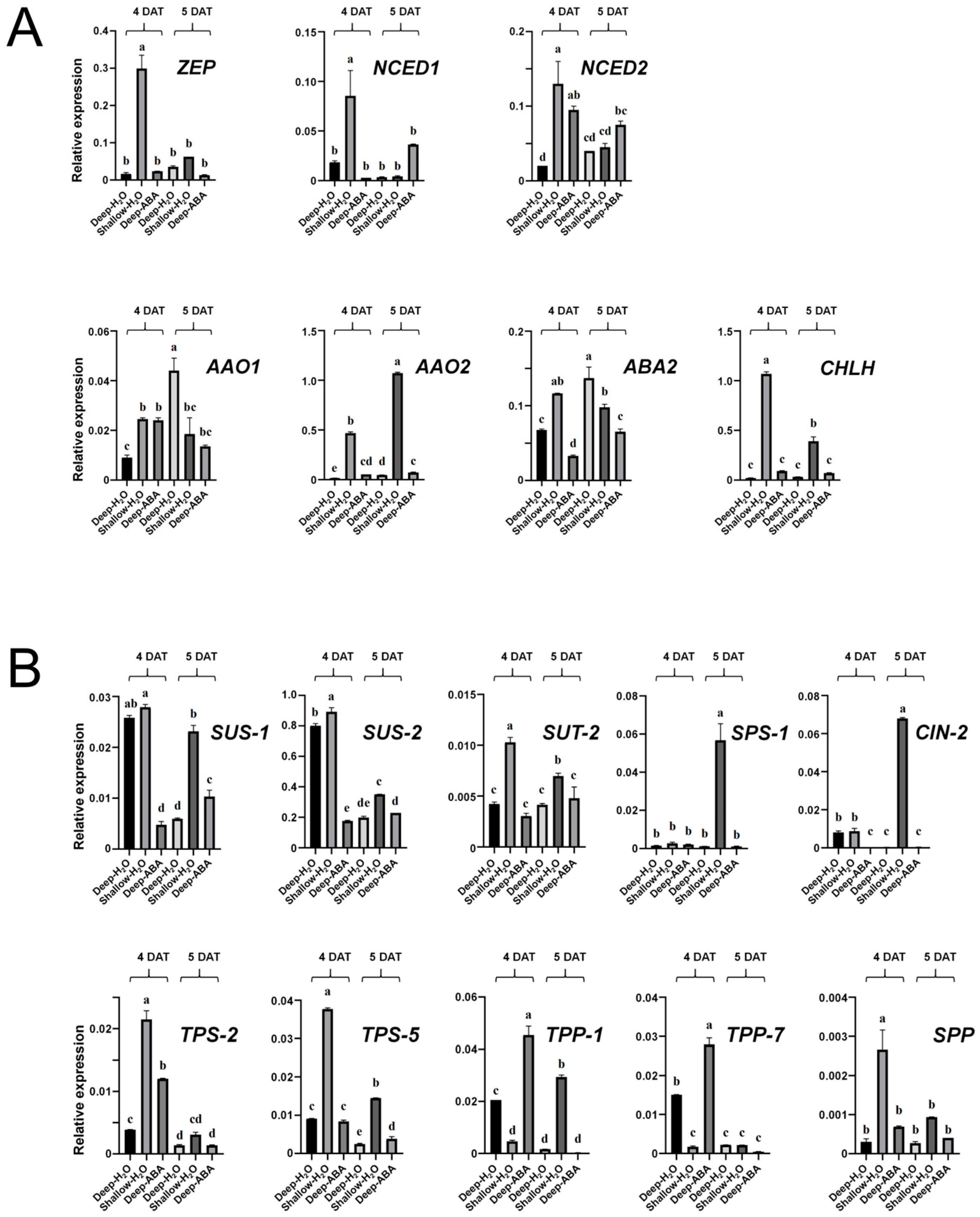 Plants 13 02090 g007 Plants 13 02090 g007
