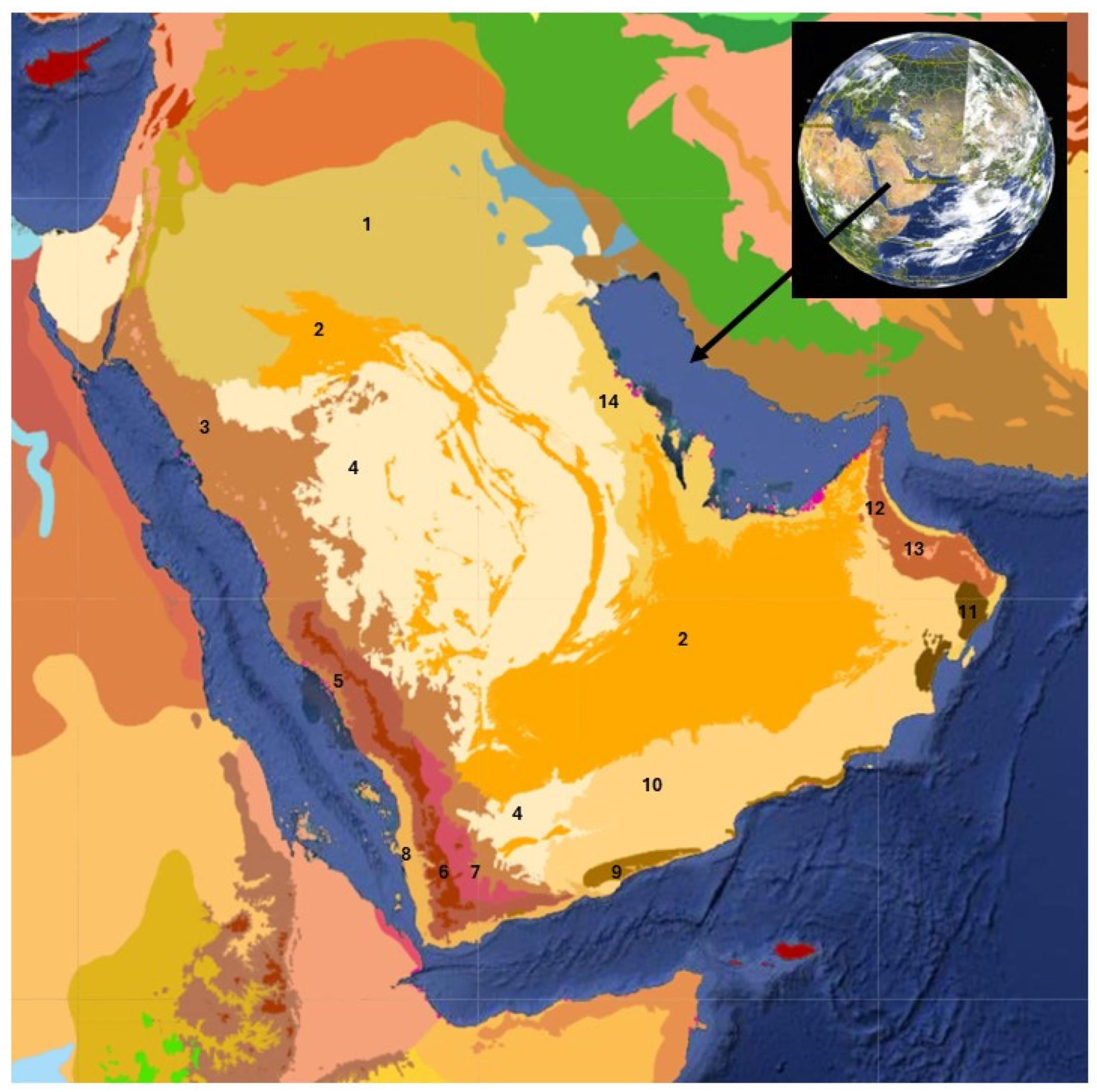 Plants 13 02091 g002