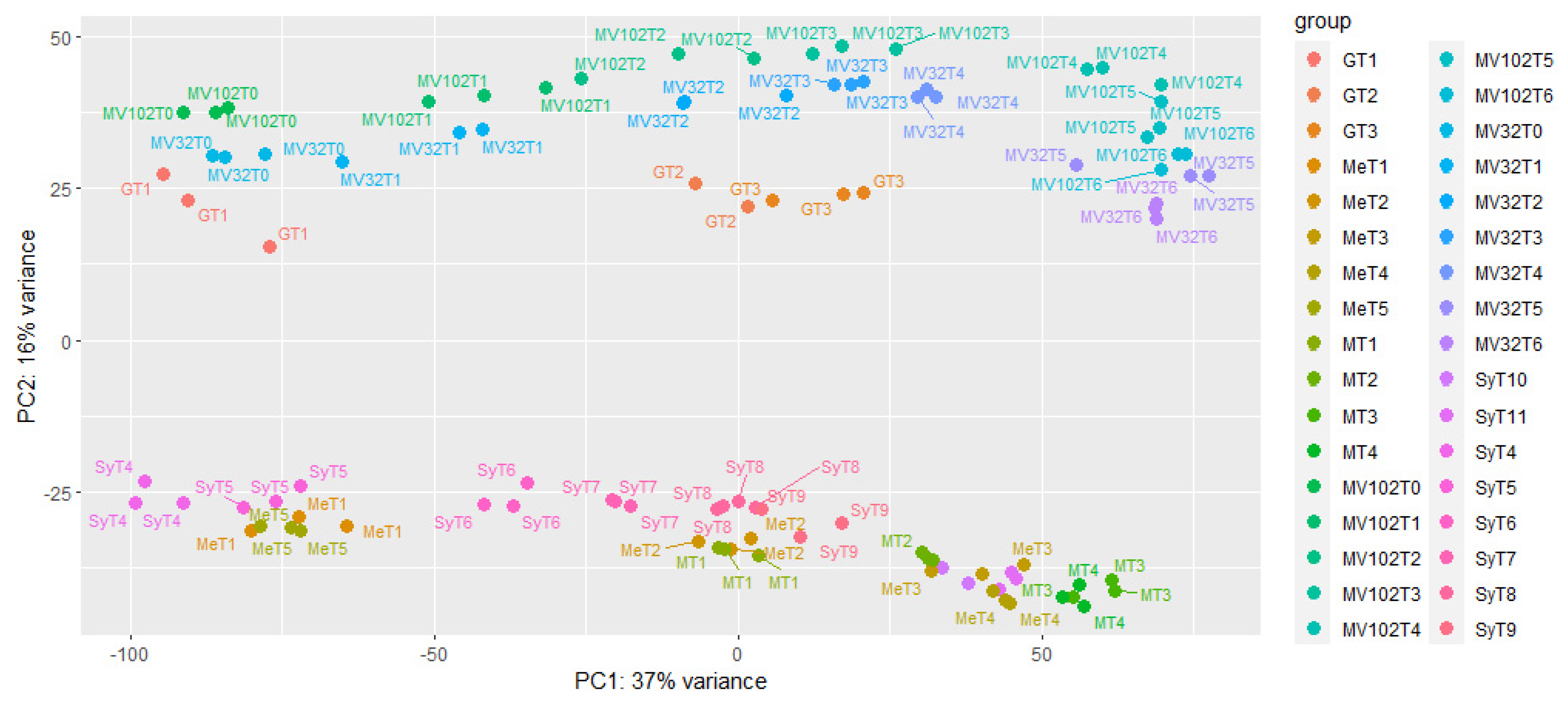 Plants 13 02095 g001