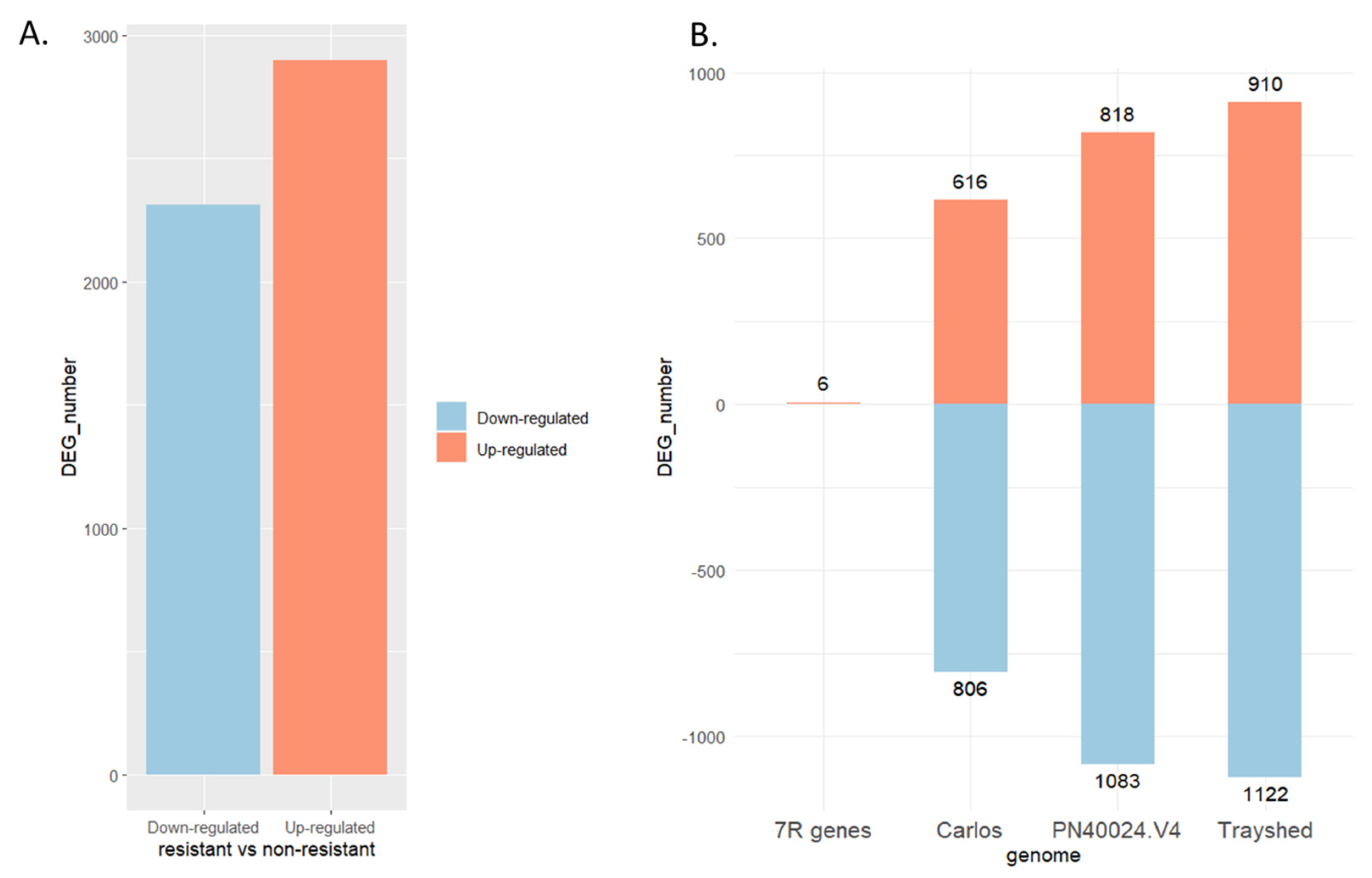 Plants 13 02095 g002