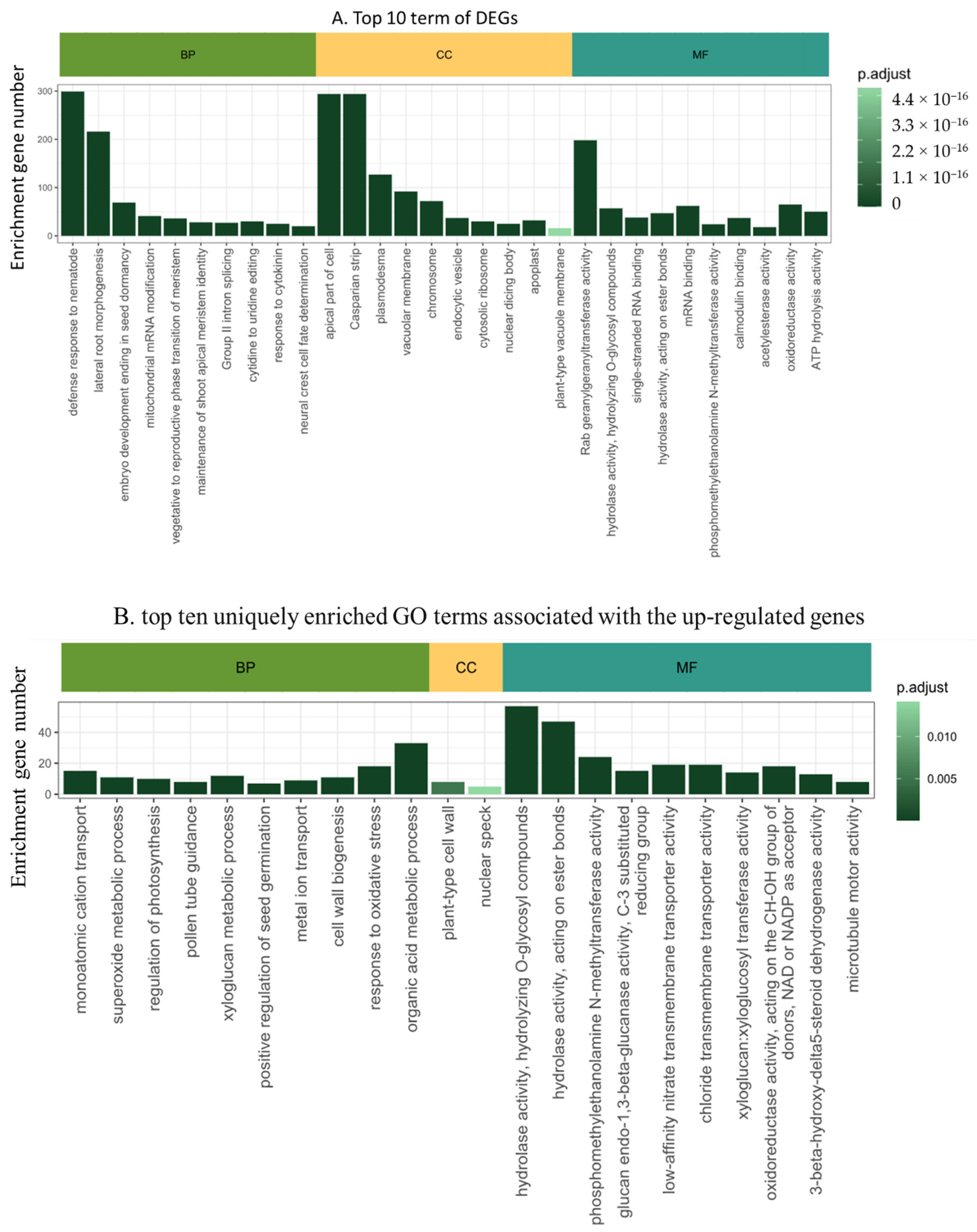 Plants 13 02095 g003a