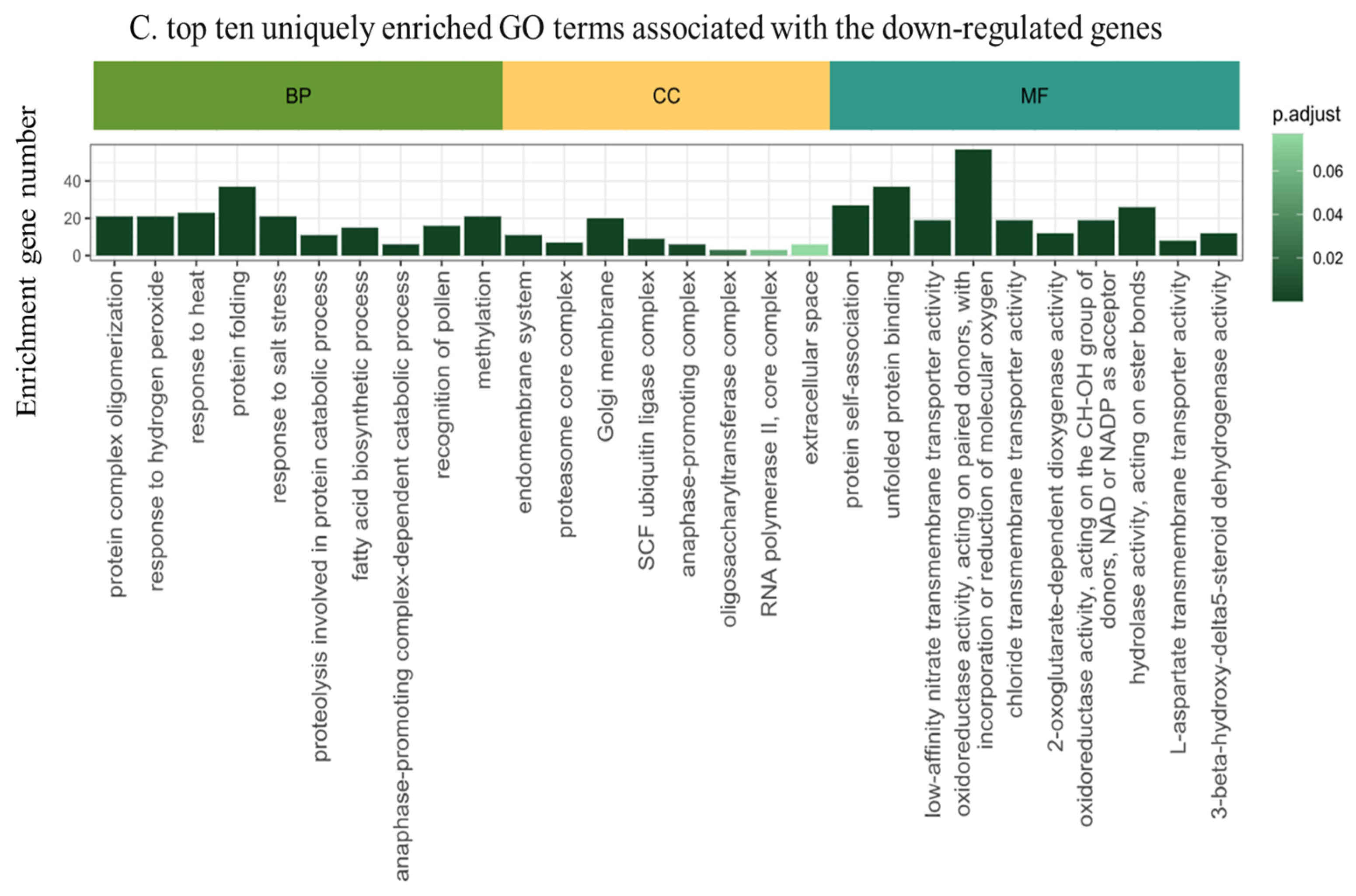 Plants 13 02095 g003b