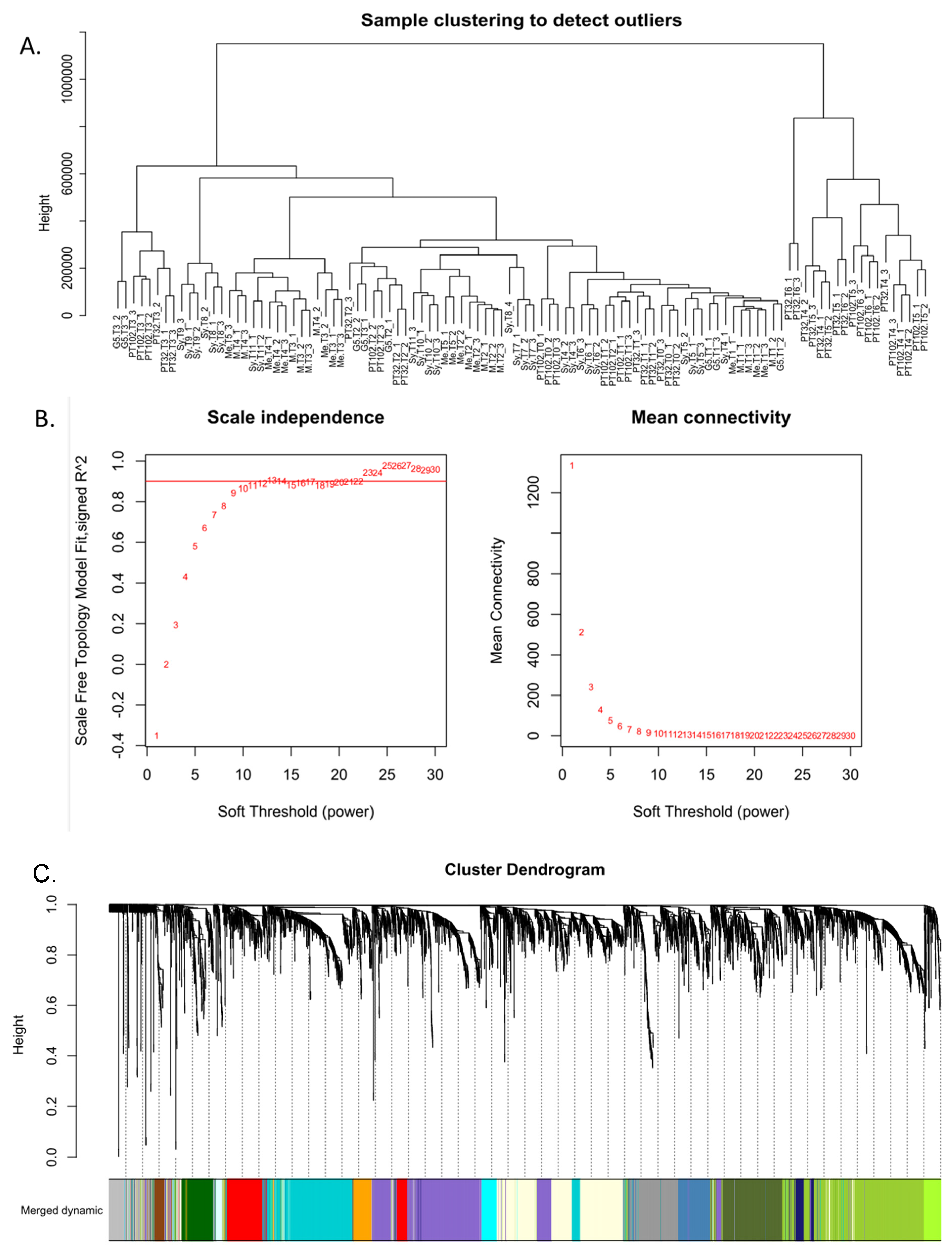 Plants 13 02095 g004