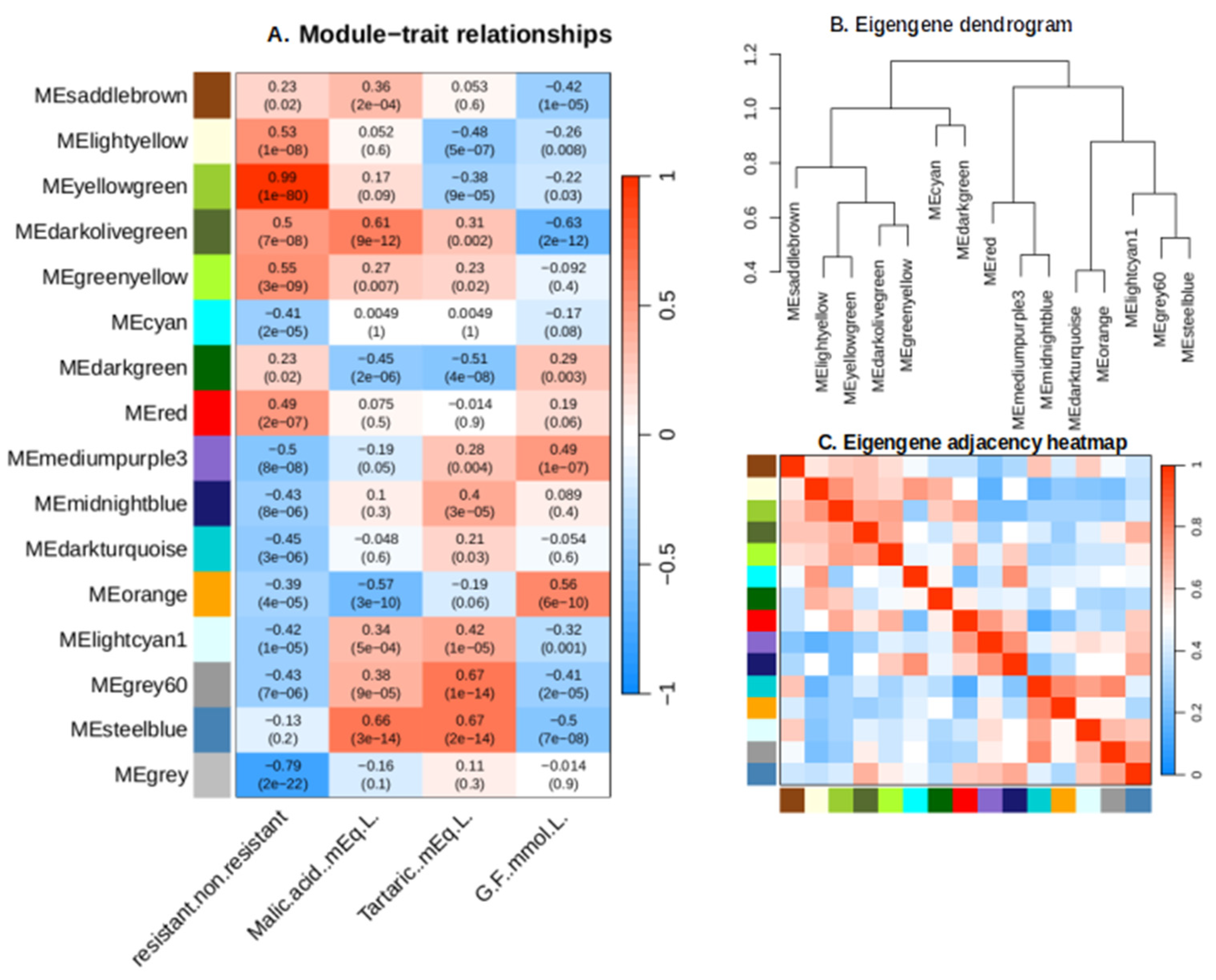 Plants 13 02095 g006