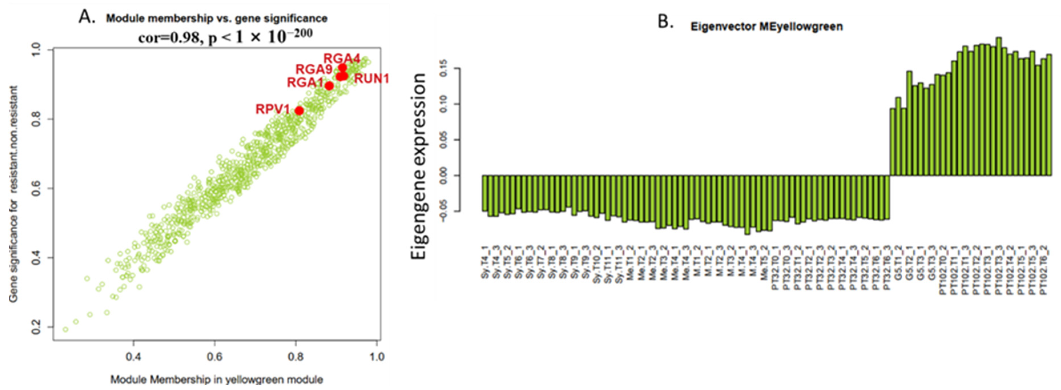 Plants 13 02095 g007