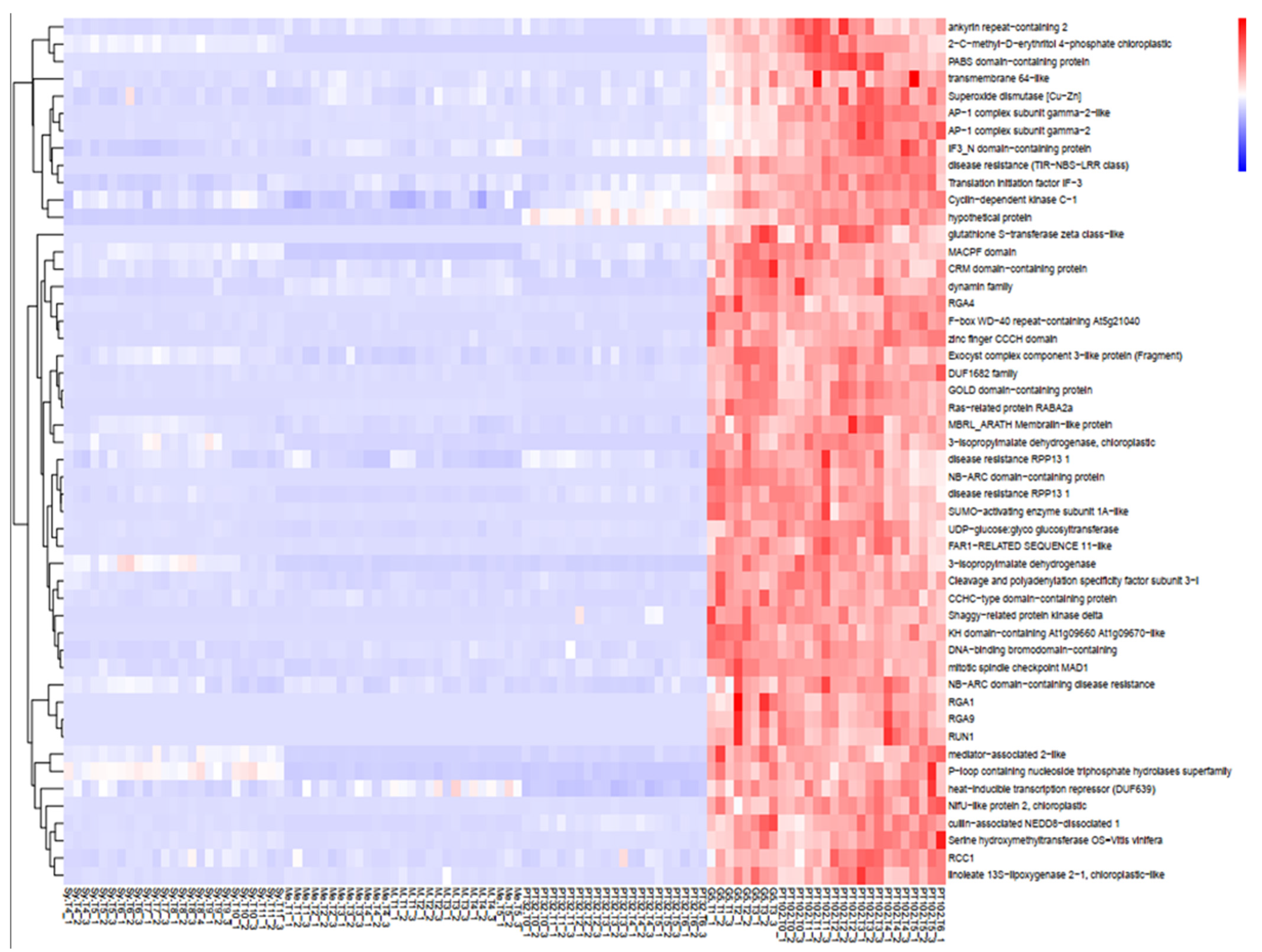 Plants 13 02095 g008