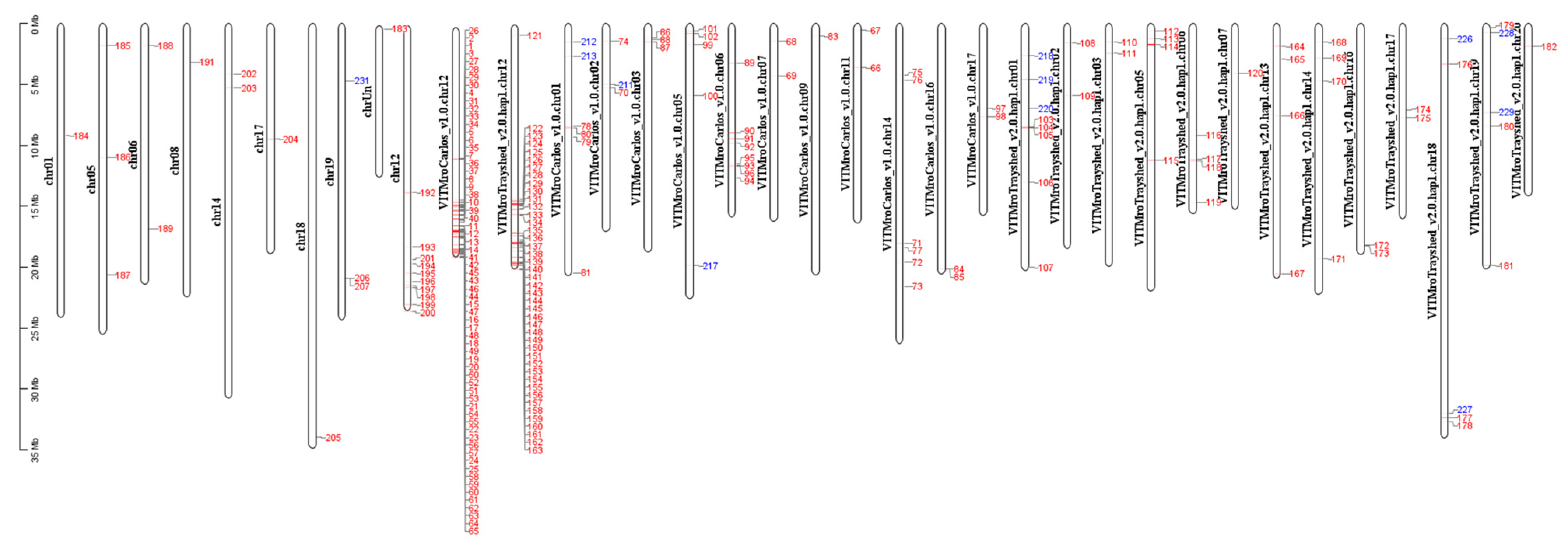 Plants 13 02095 g010