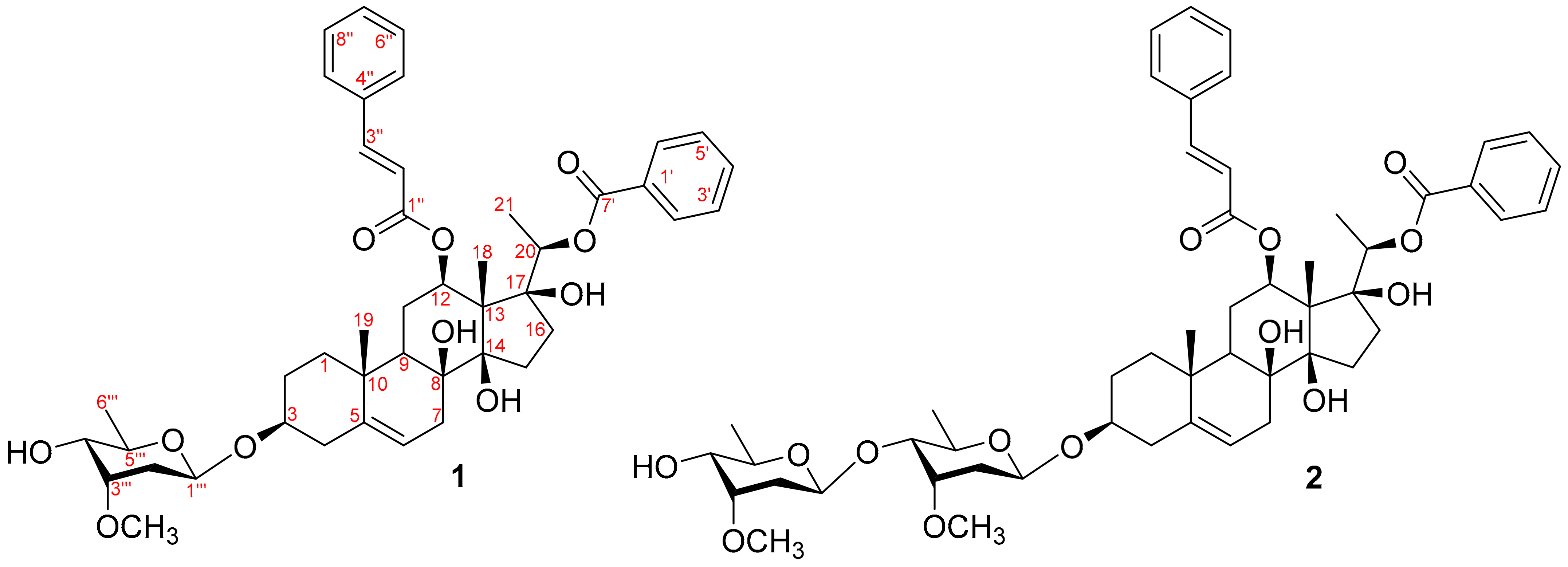 Plants 13 02100 g001