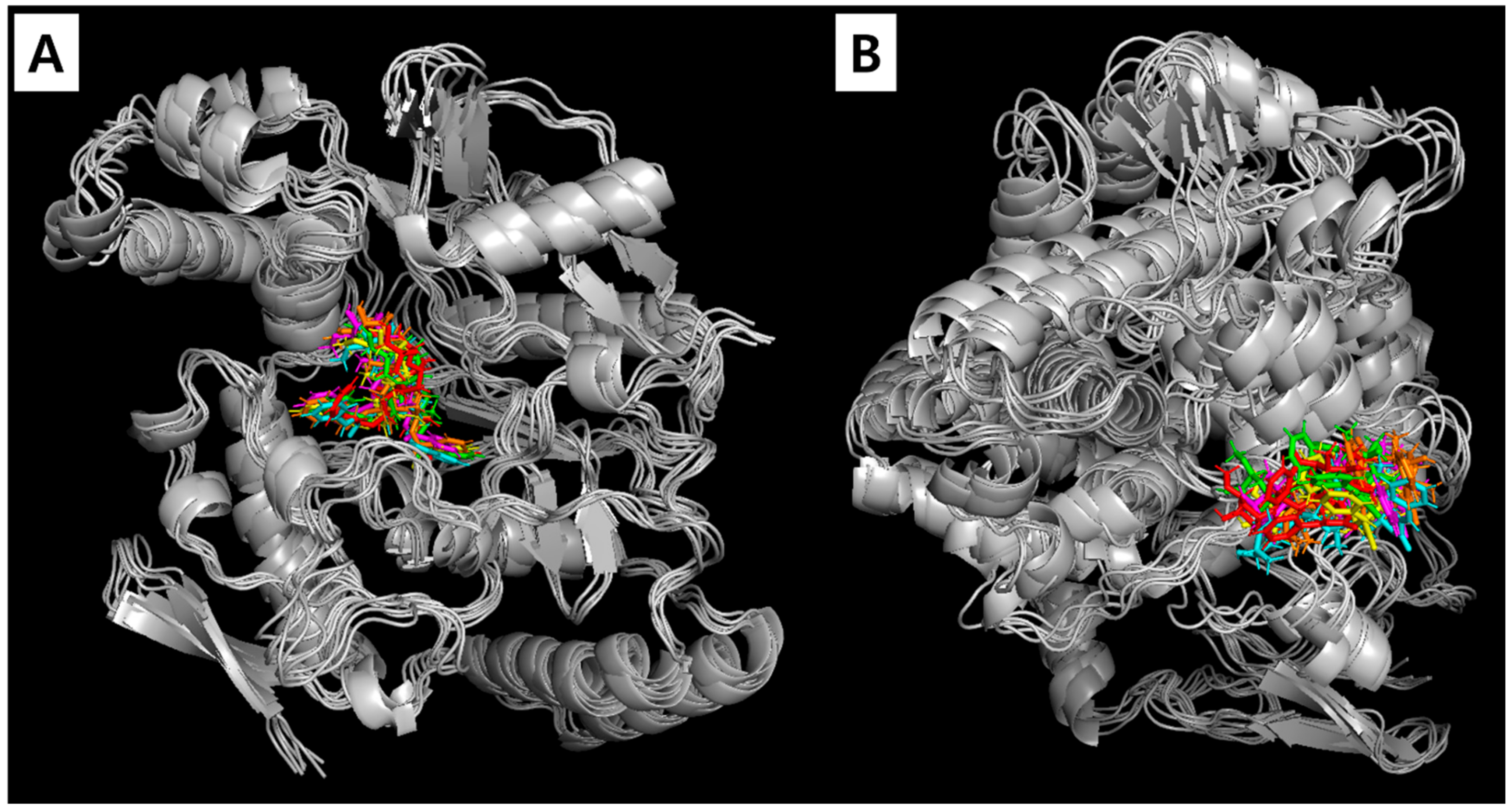 Plants 13 02100 g007