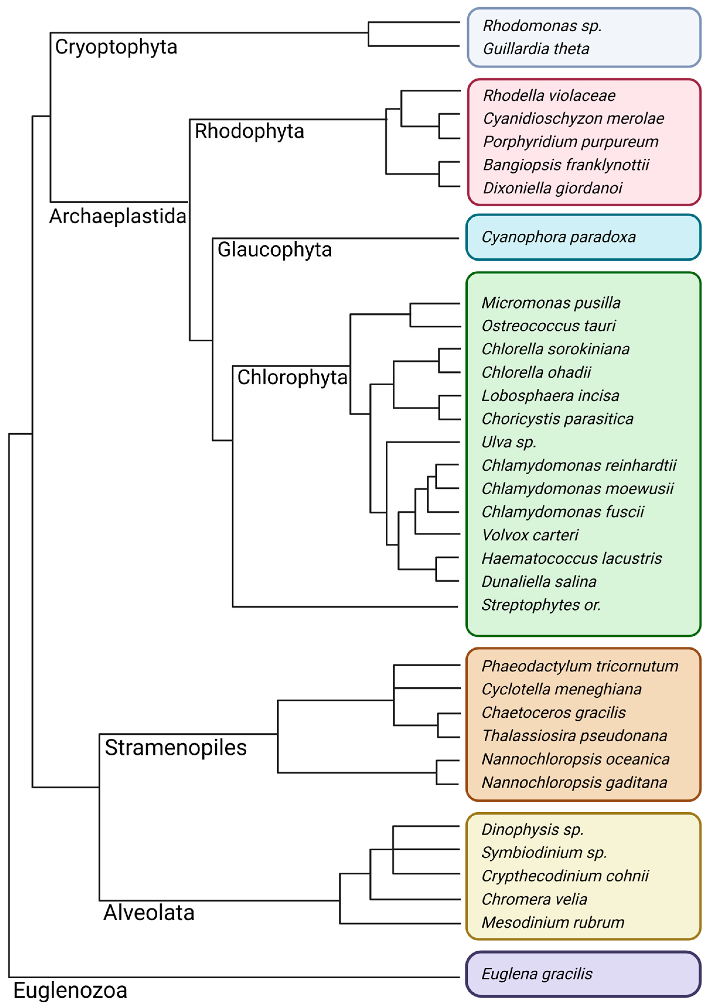 Plants 13 02103 g001 Plants 13 02103 g001