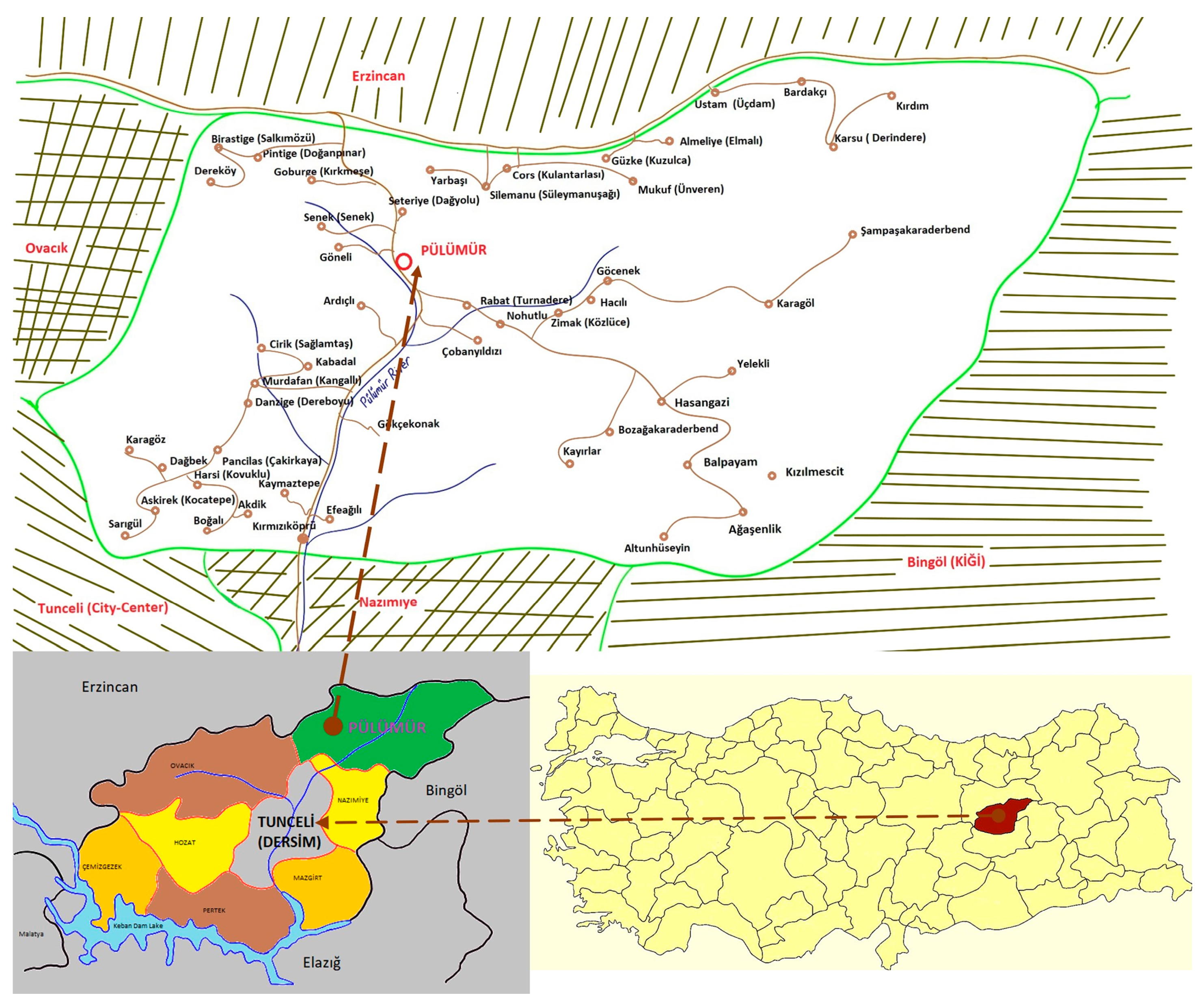 Plants 13 02104 g005