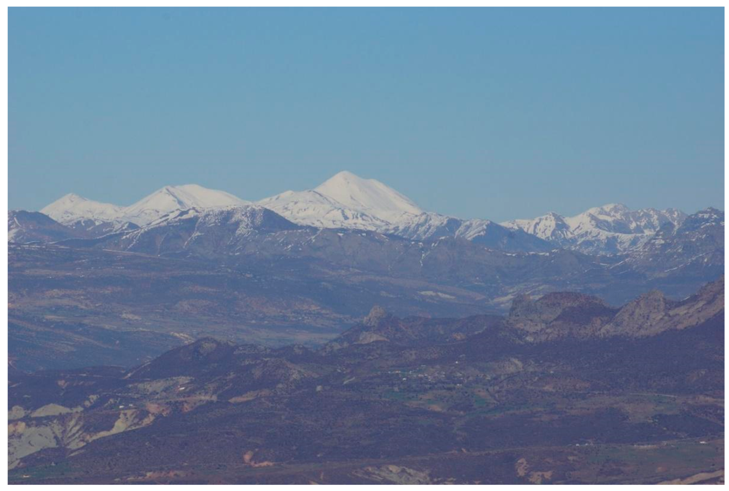 Plants 13 02104 g006