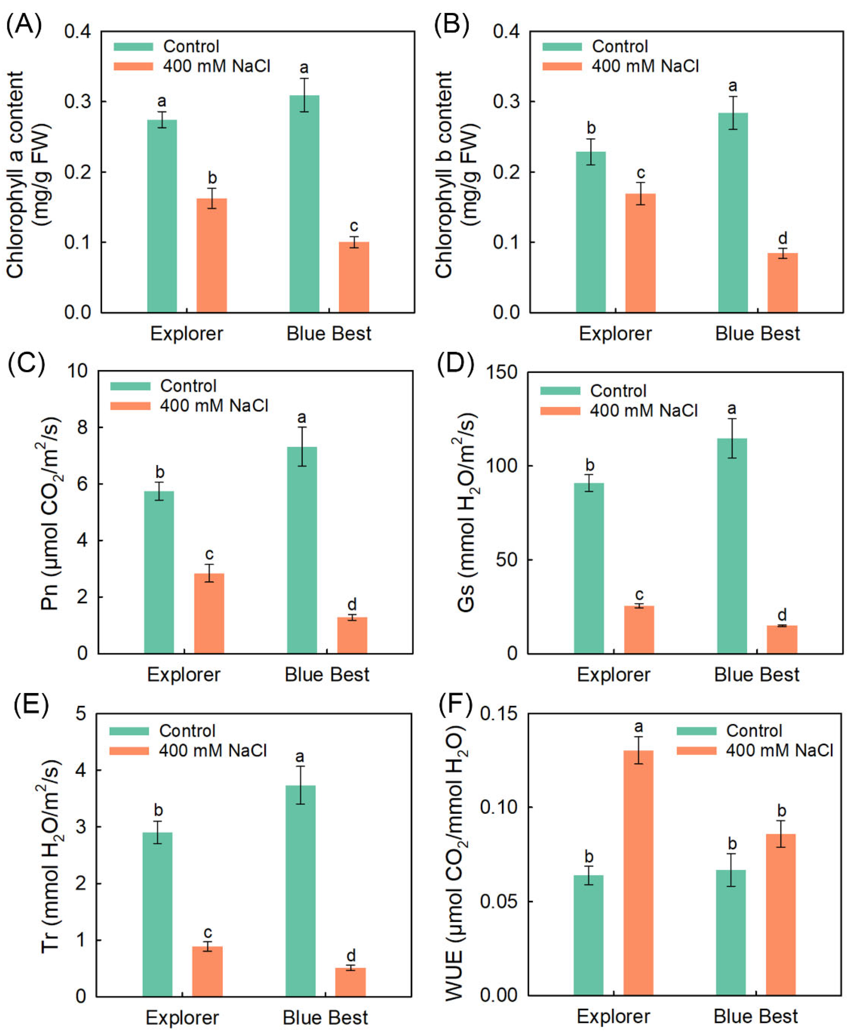 Plants 13 02107 g002