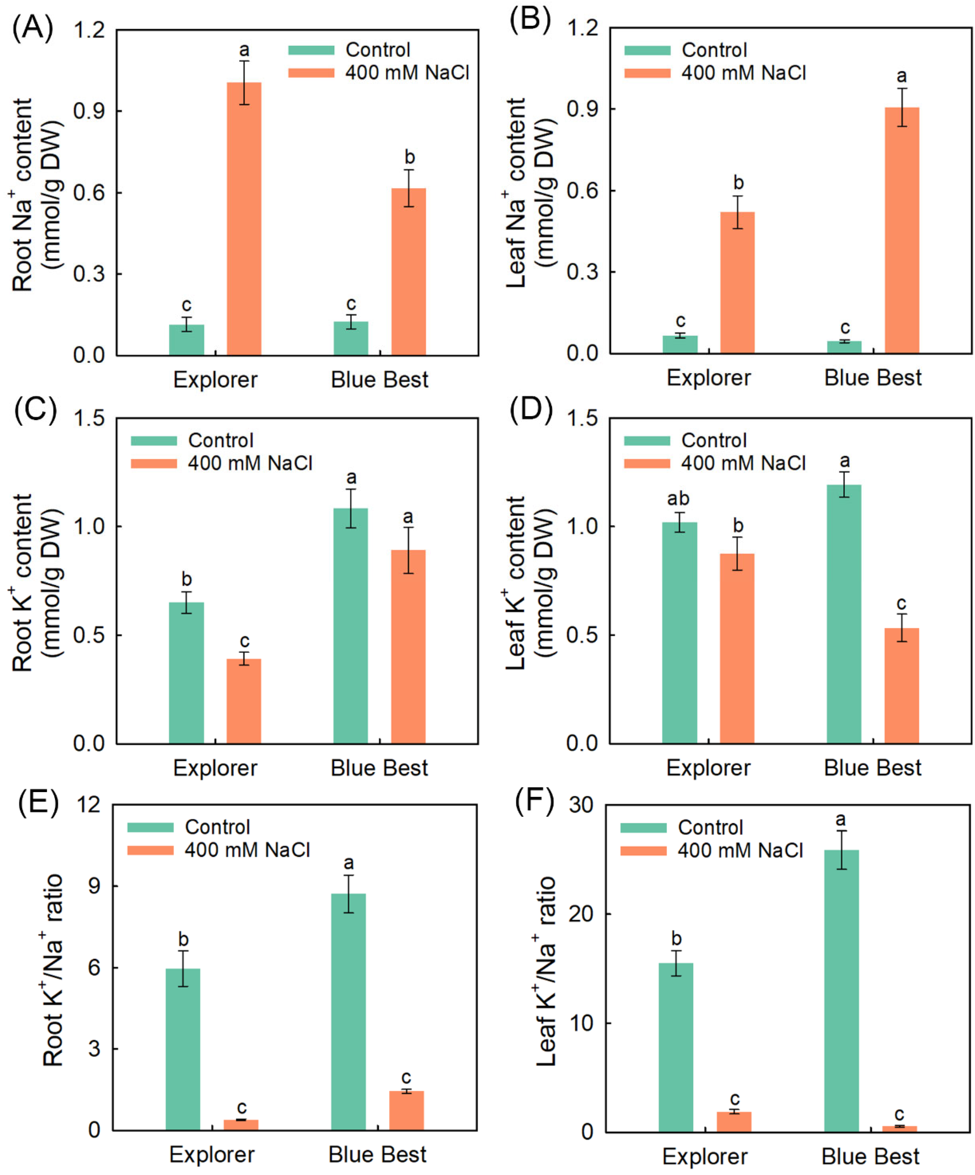 Plants 13 02107 g003